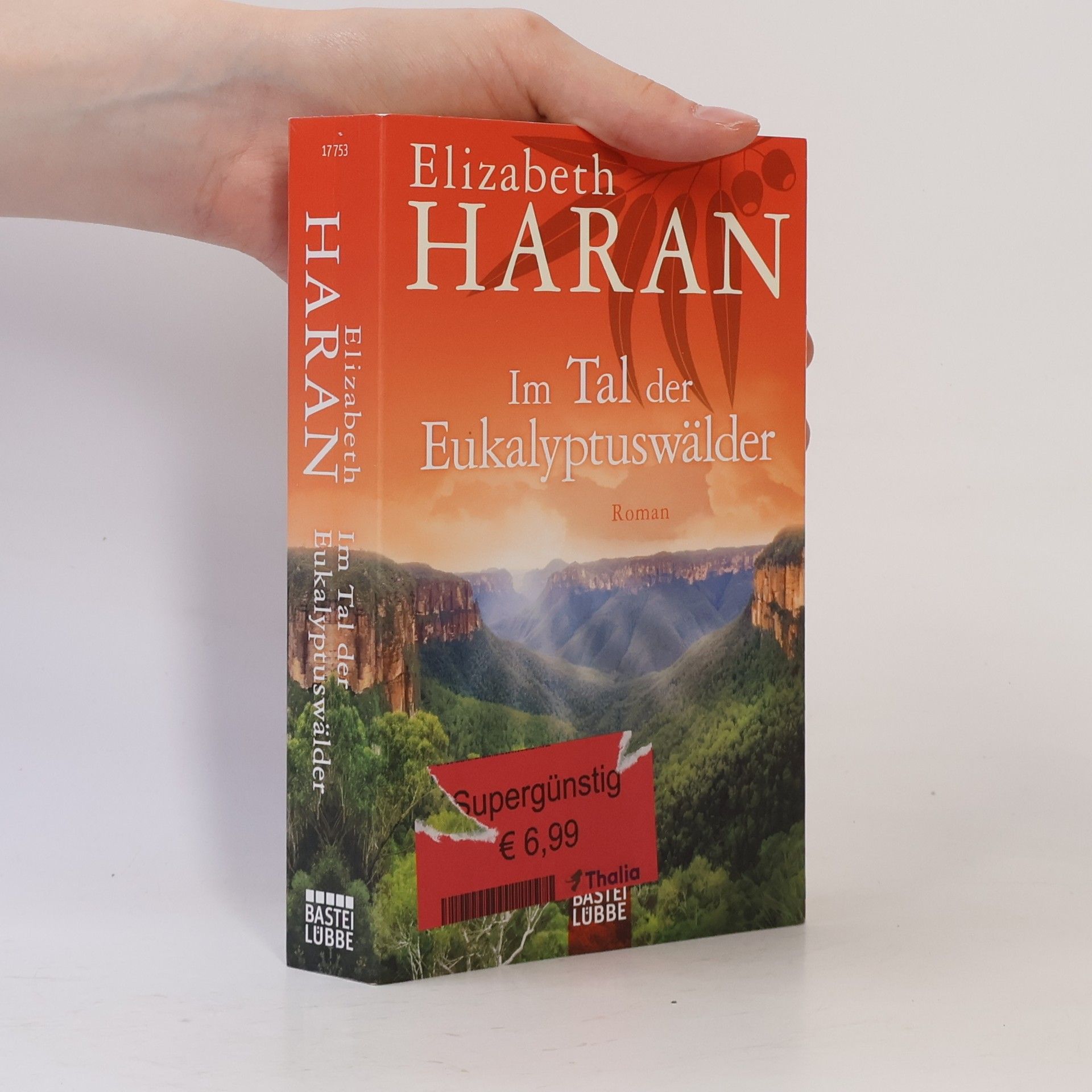 Elizabeth Haran Im Tal der Eukalyptuswälder