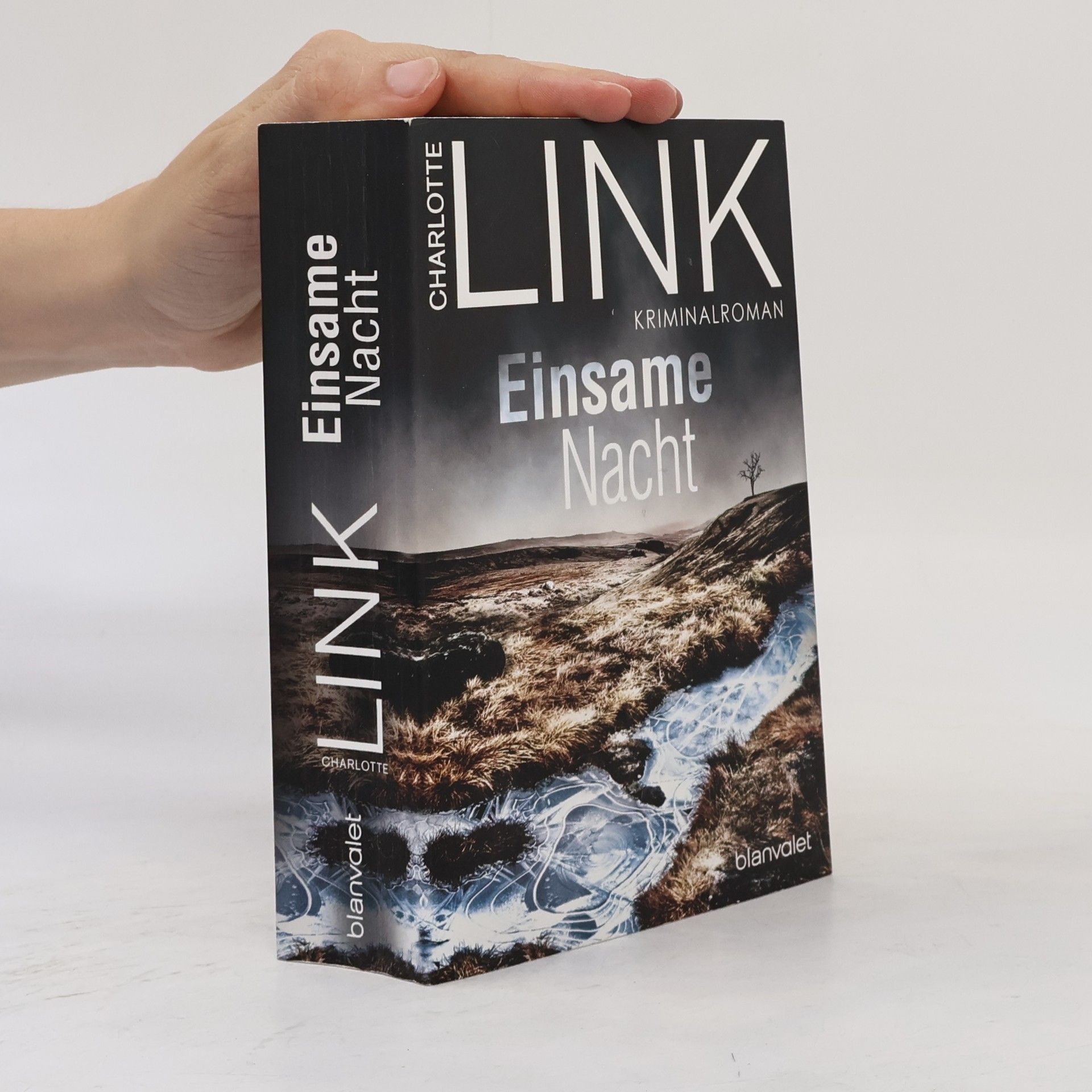 Charlotte Link Einsame Nacht