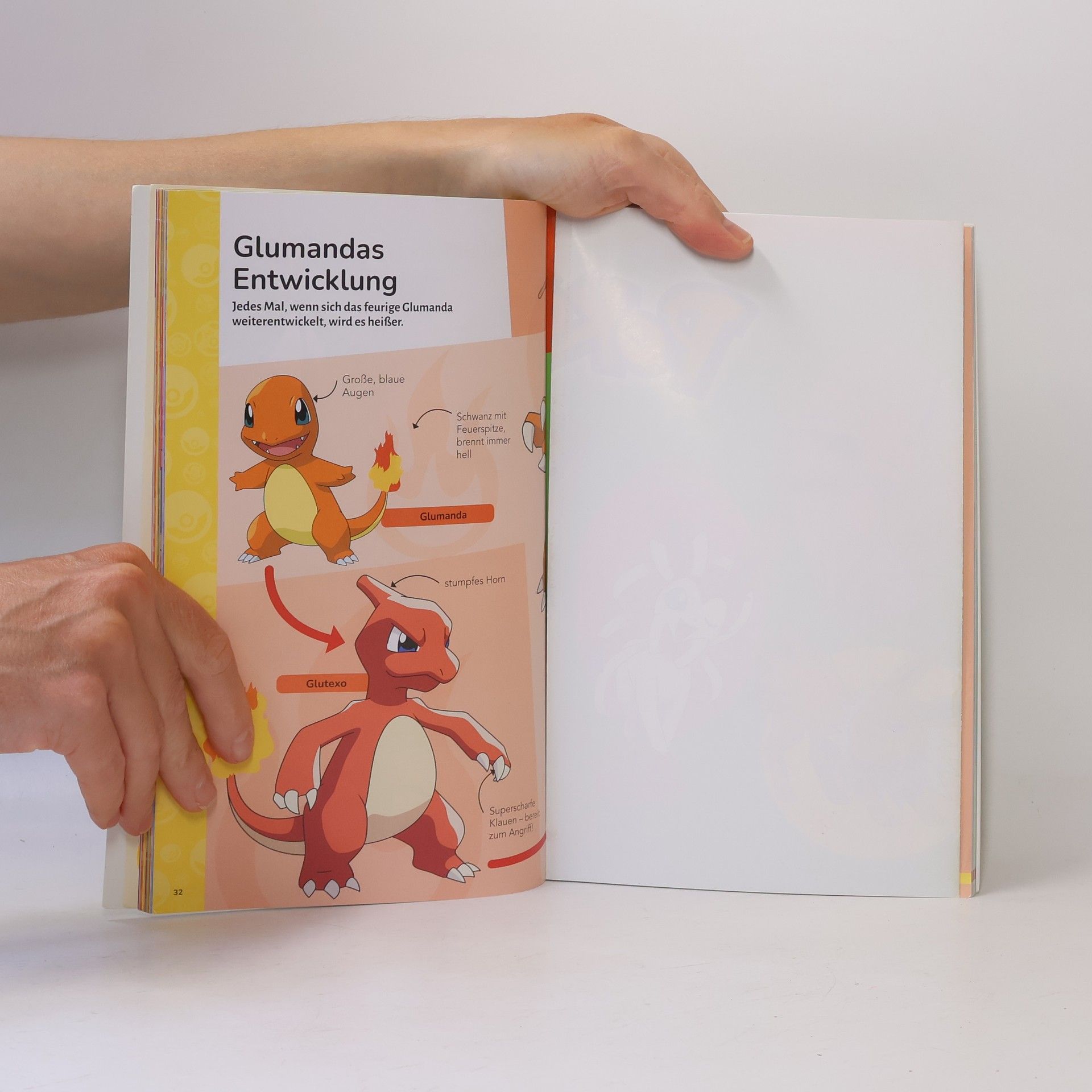 Unknown Author Pokémon Handbuch