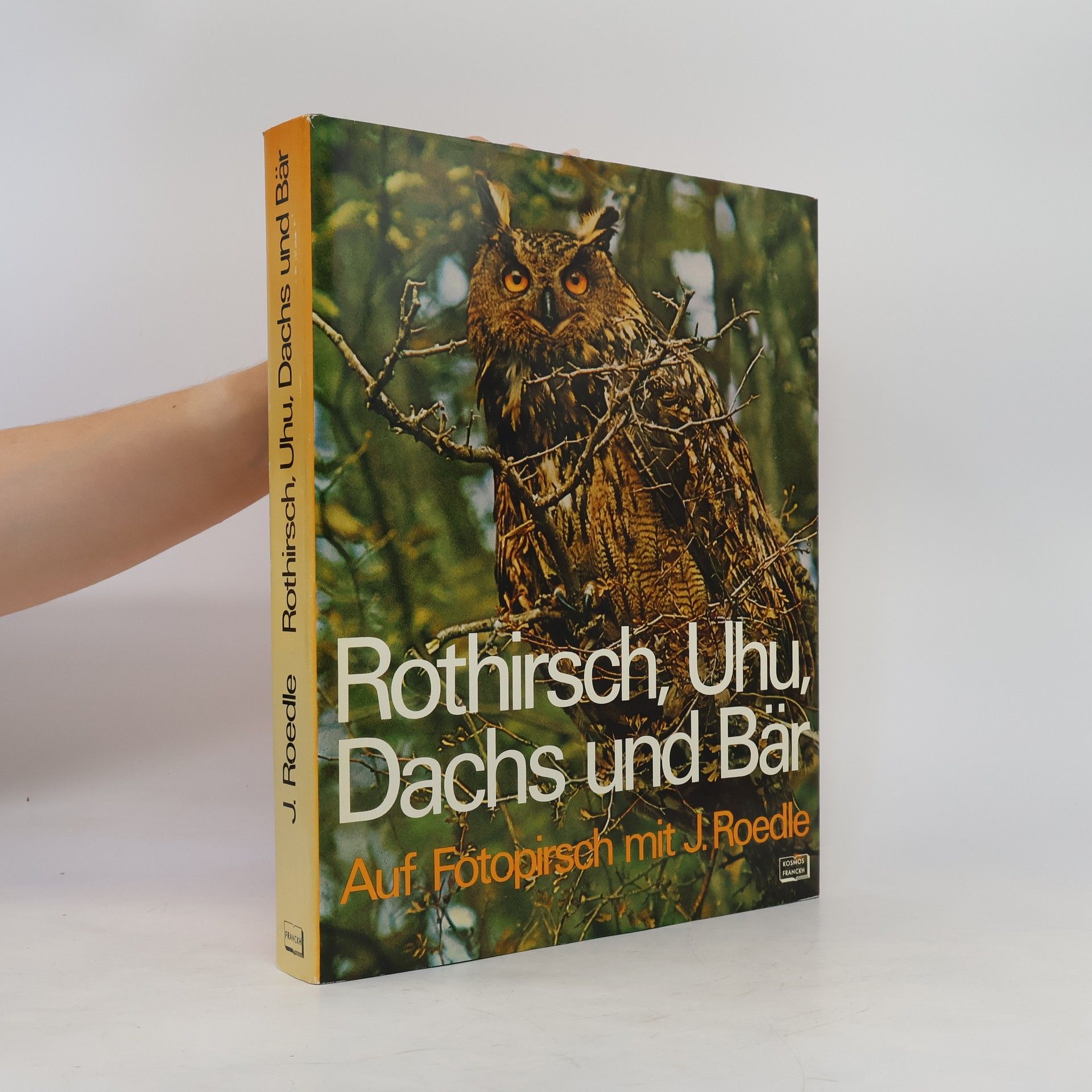Rothirsch, Uhu, Dachs und Bär