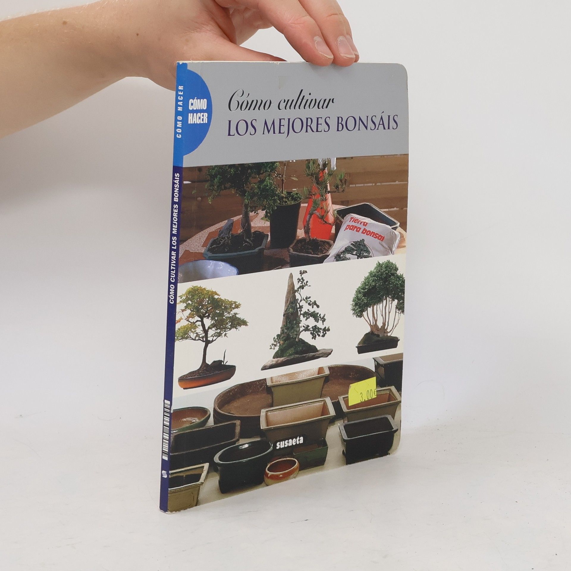 Cómo cultivar los mejores bonsáis