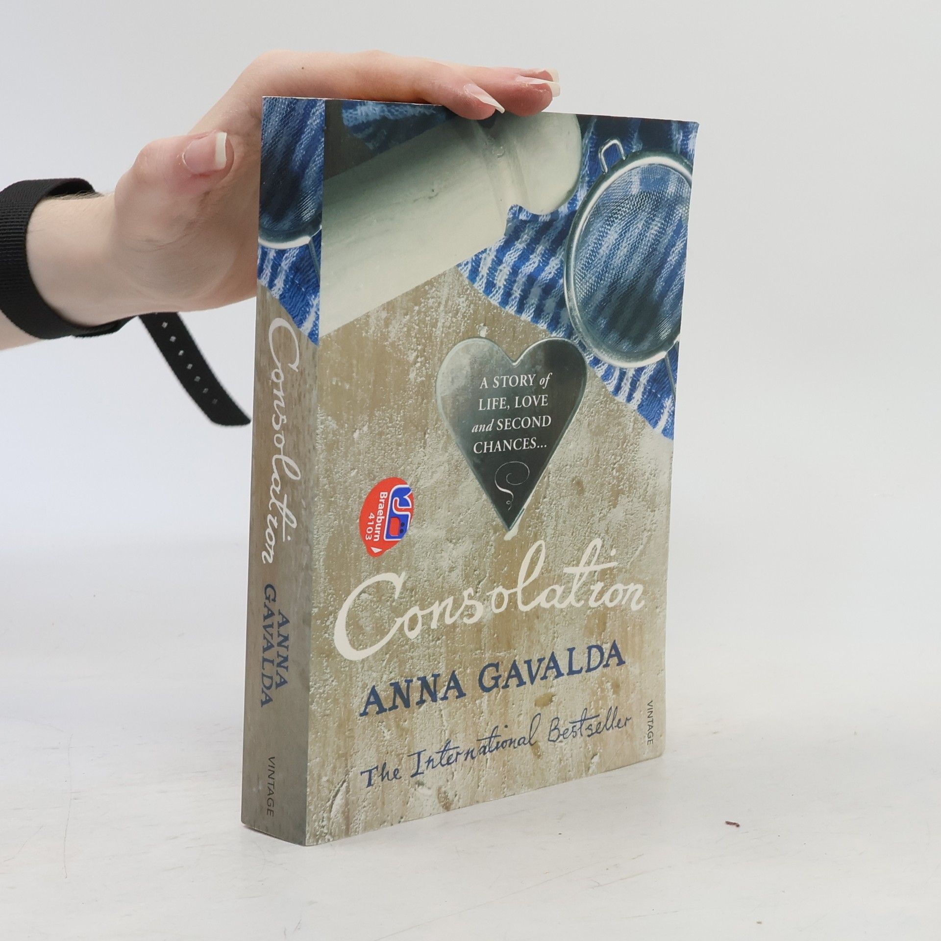 Anna Gavalda Consolation