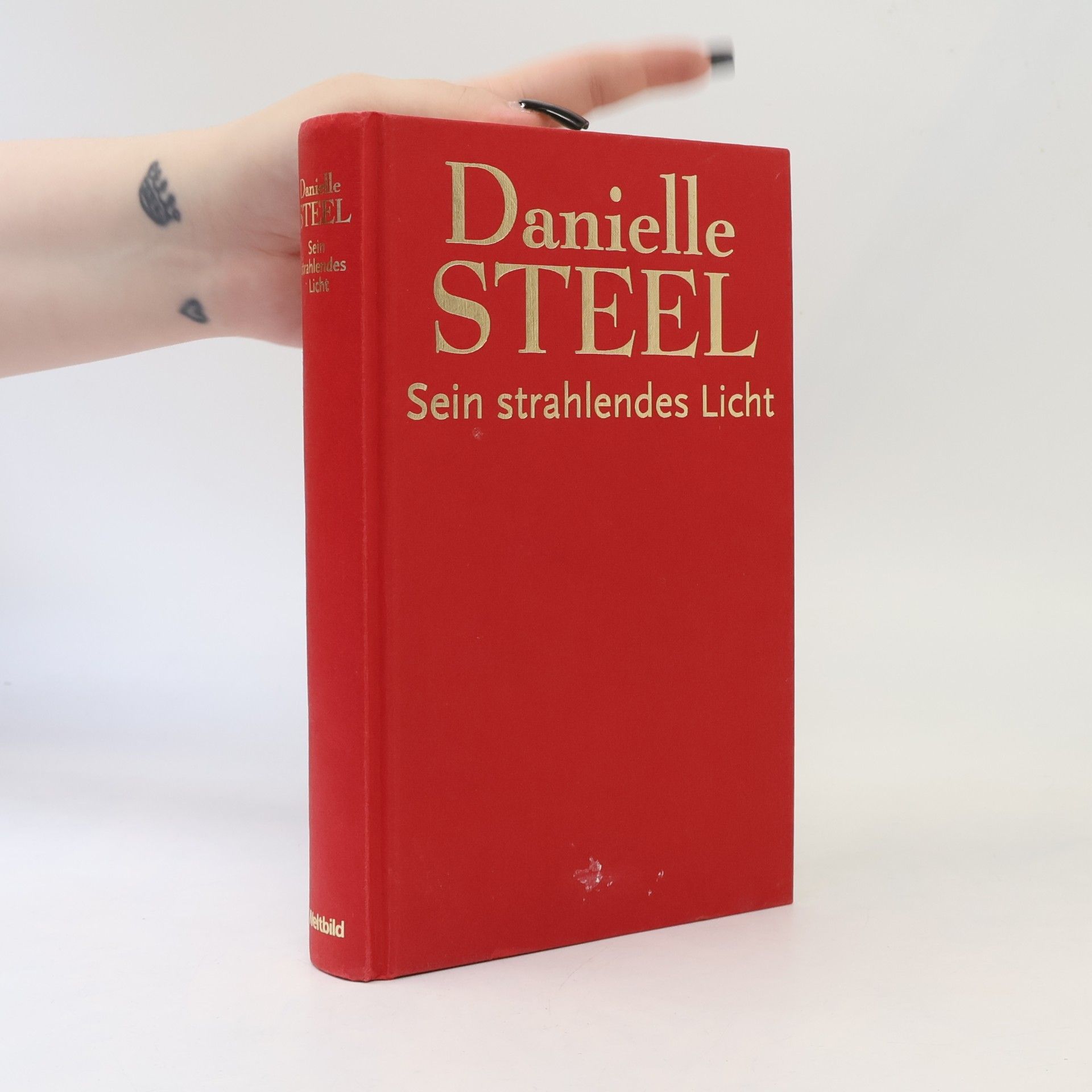 Danielle Steel Sein strahlendes Licht