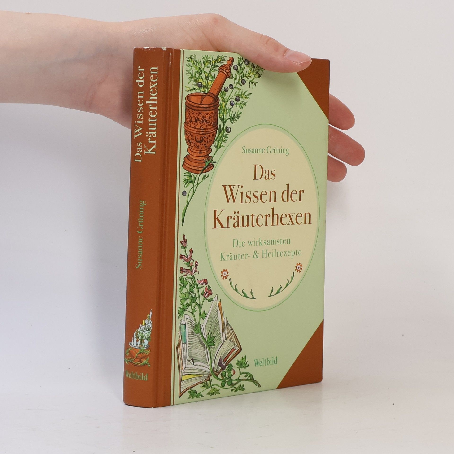 Susanne-Lilian Grüning Das Wissen der Kräuterhexen