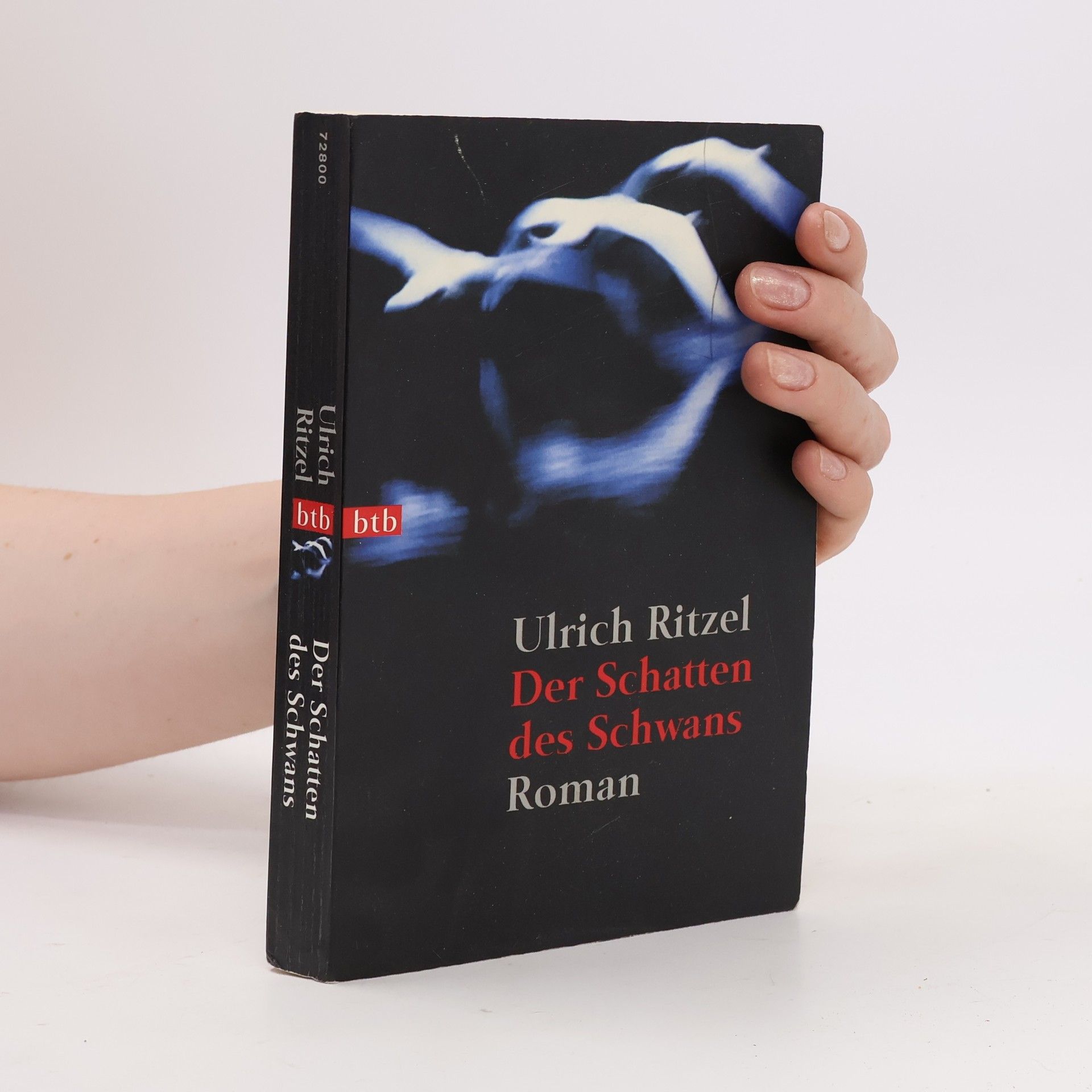 Ulrich Ritzel Der Schatten des Schwans