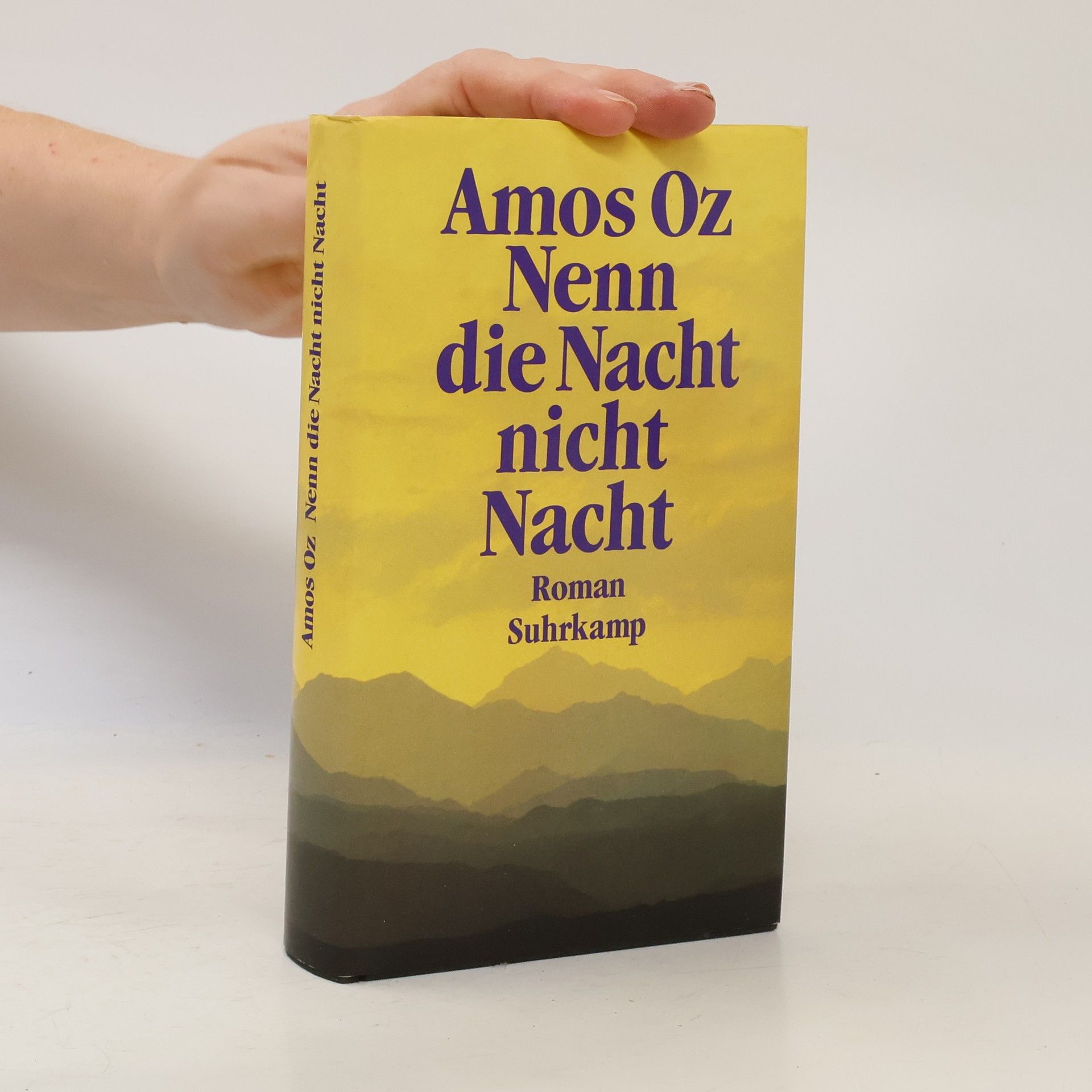 Amos Oz Nenn die Nacht nicht Nacht