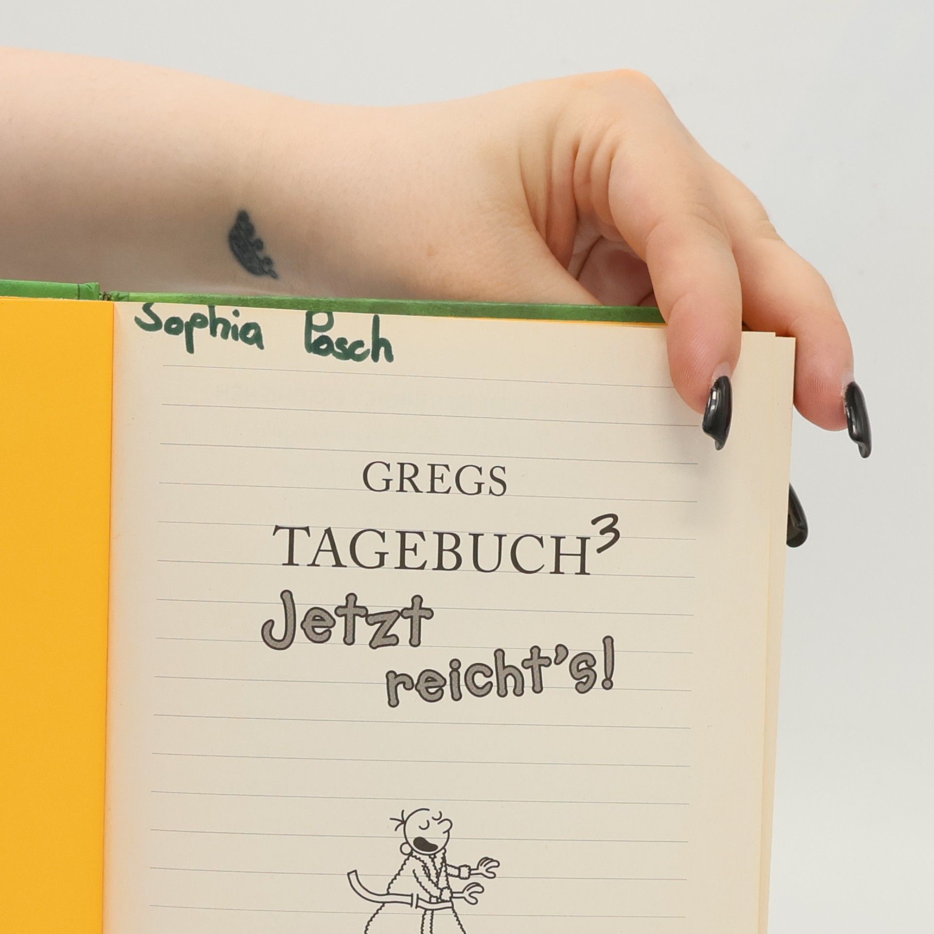 Jeff Kinney Gregs Tagebuch 3. Jetzt reicht's !