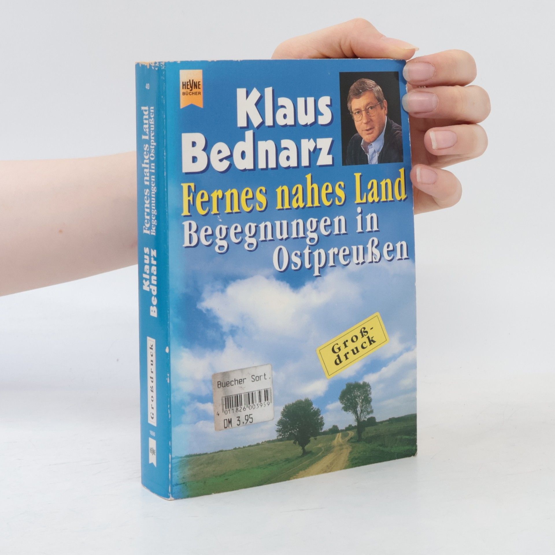 Klaus Bednarz Fernes nahes Land - Großdruck