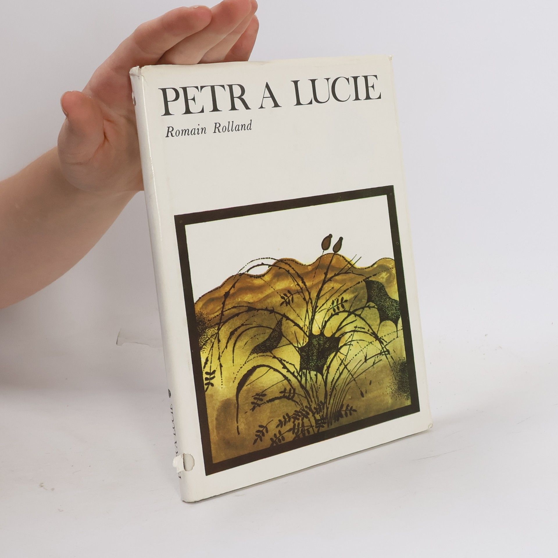 Romain Rolland Petr a Lucie