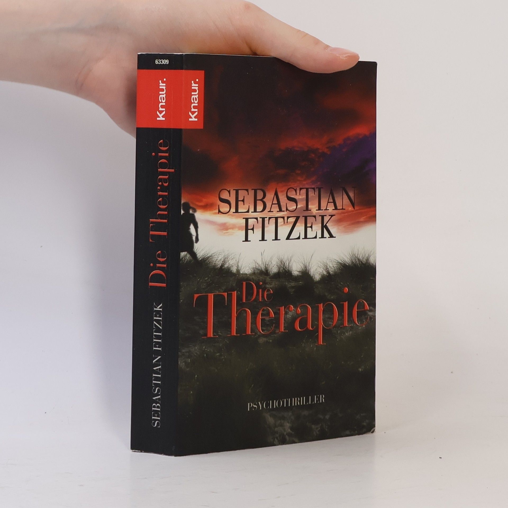 Die Therapie