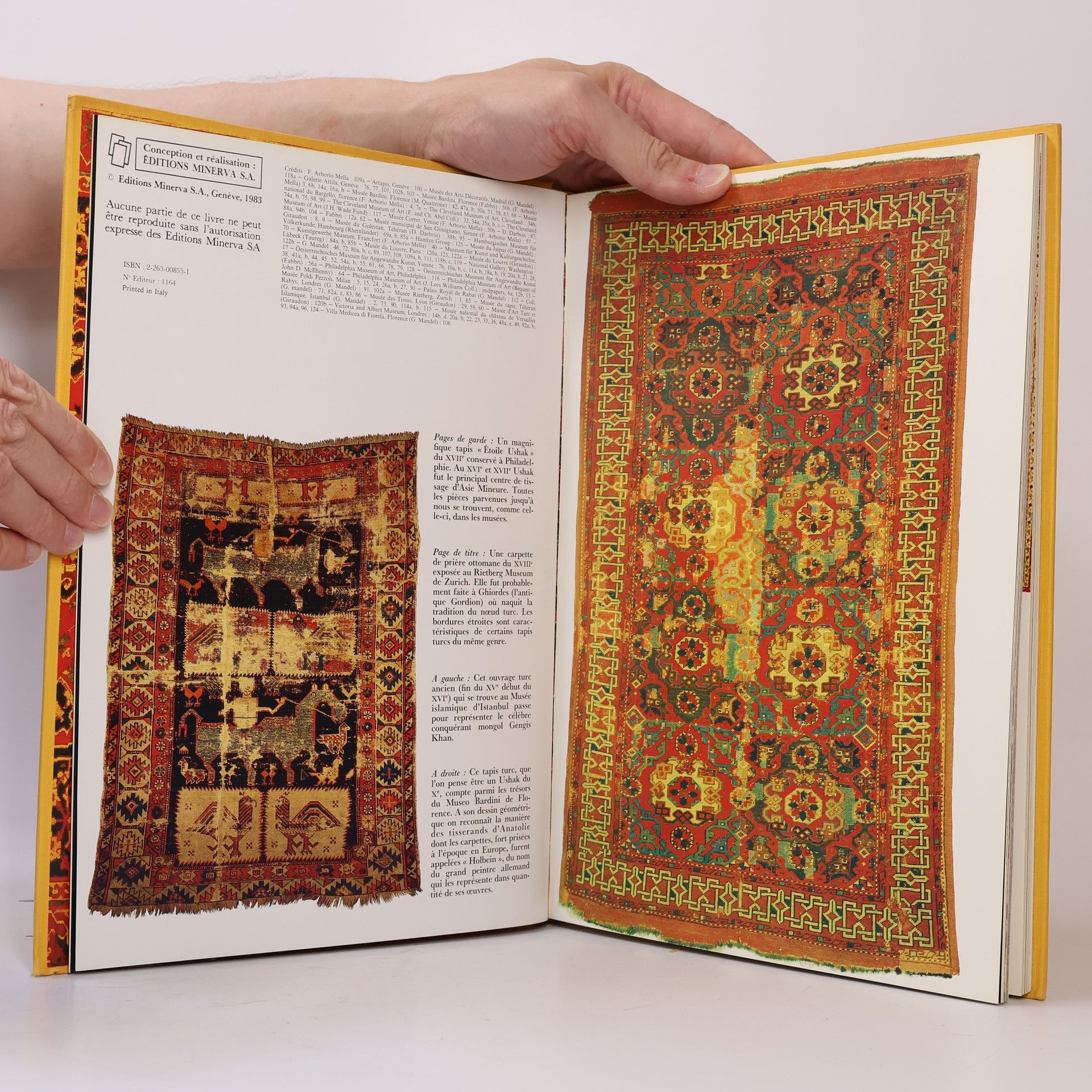 D. M. Field Les plus beaux tapis du monde