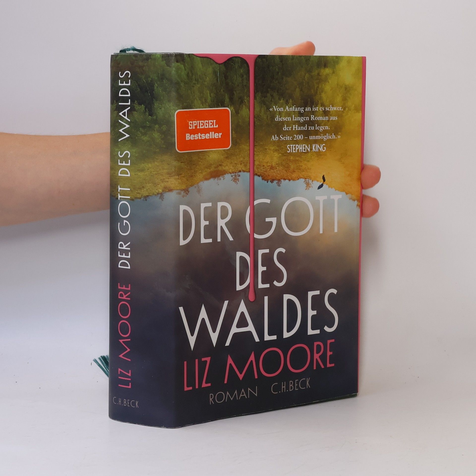 Liz Moore Der Gott des Waldes