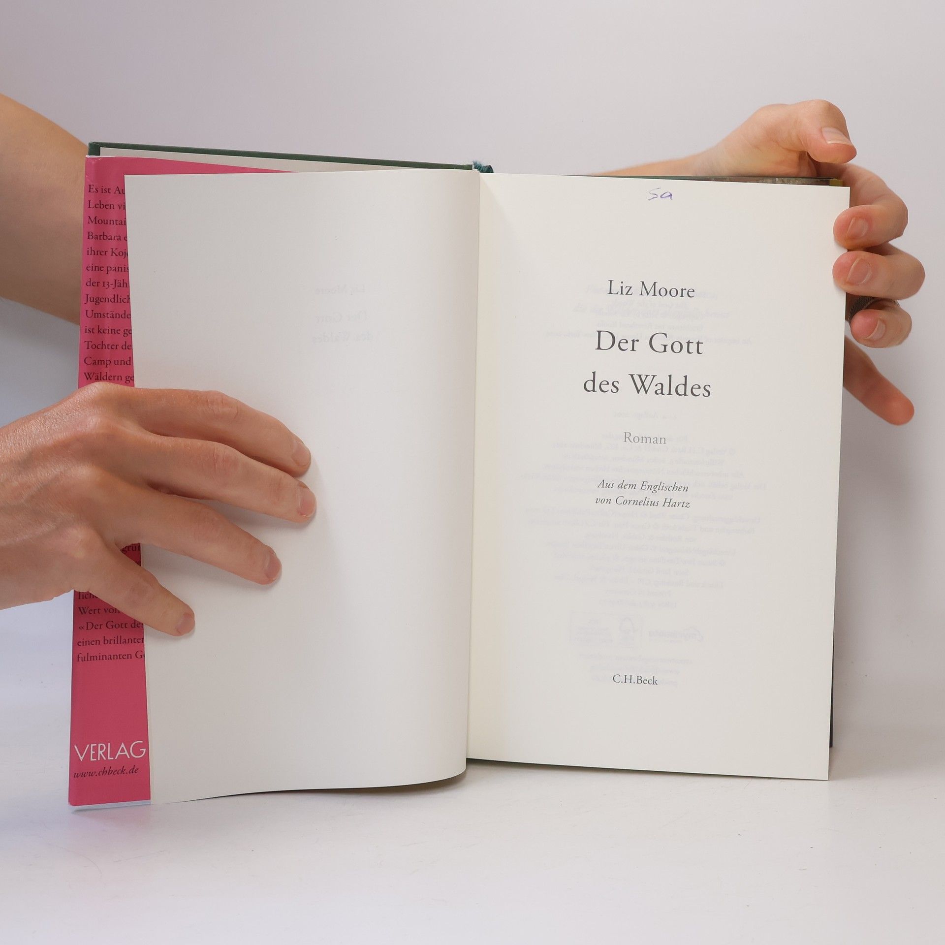 Liz Moore Der Gott des Waldes