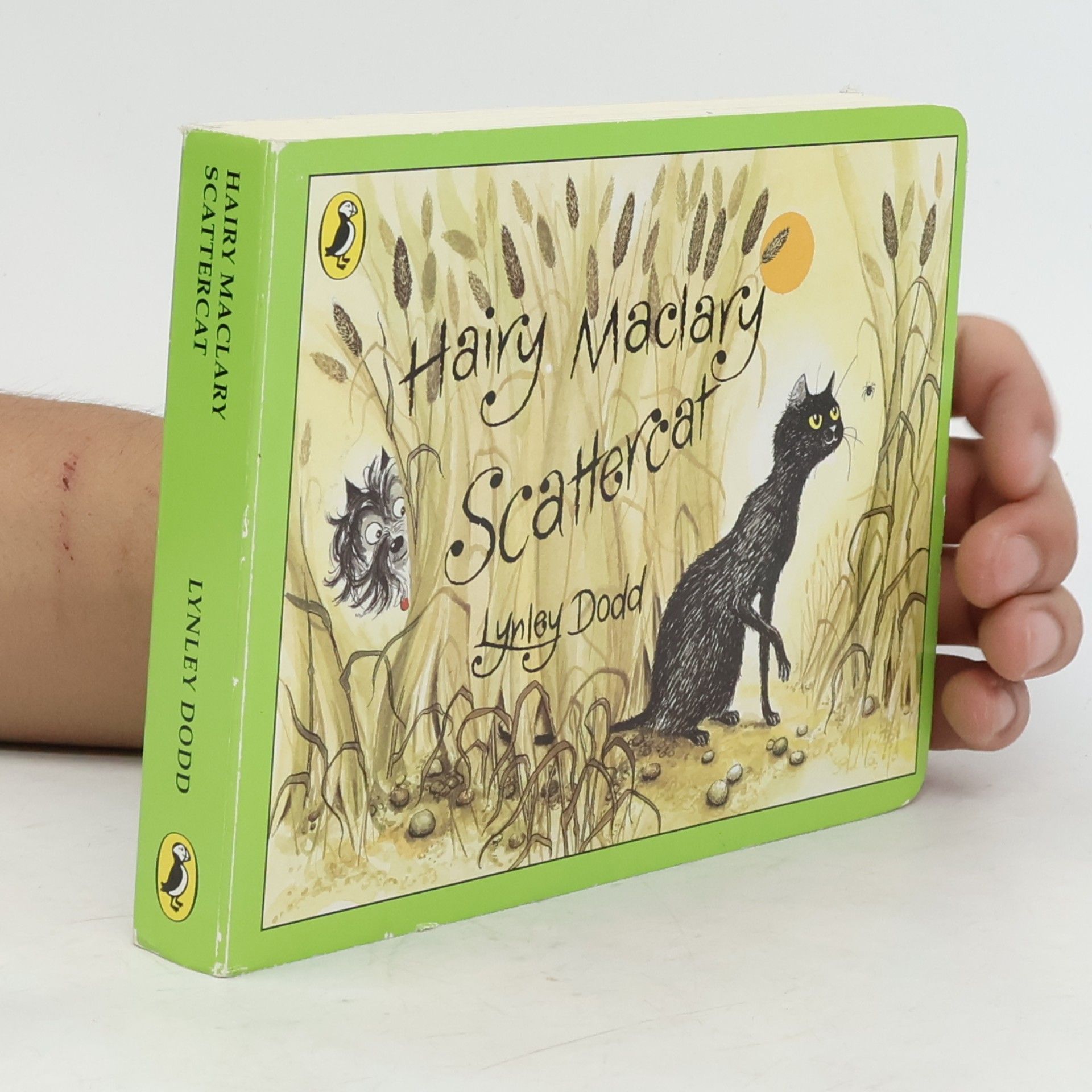 Lynley Dodd Hairy Maclary Scattercat