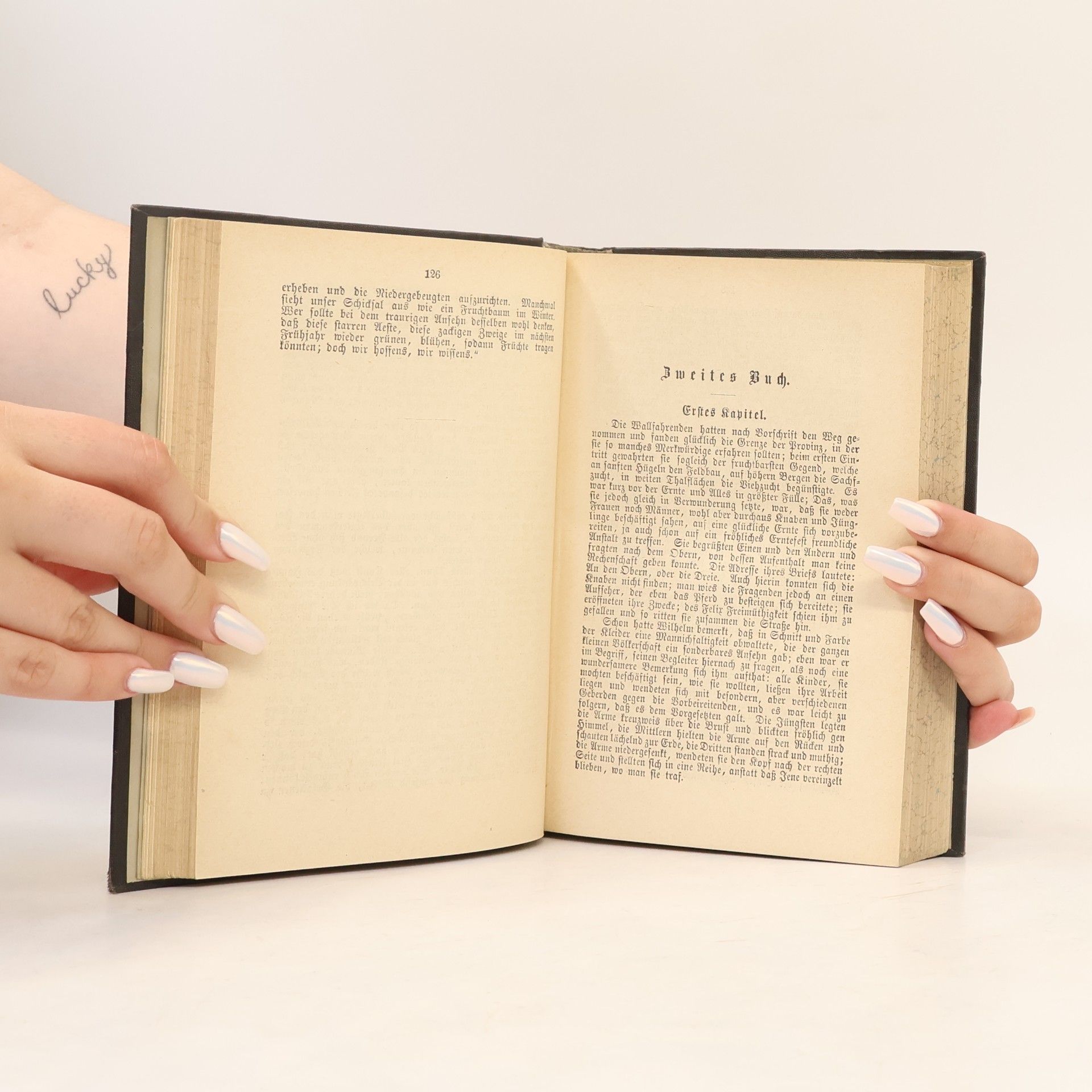 Johann Wolfgang von Goethe Goethes Werke 8