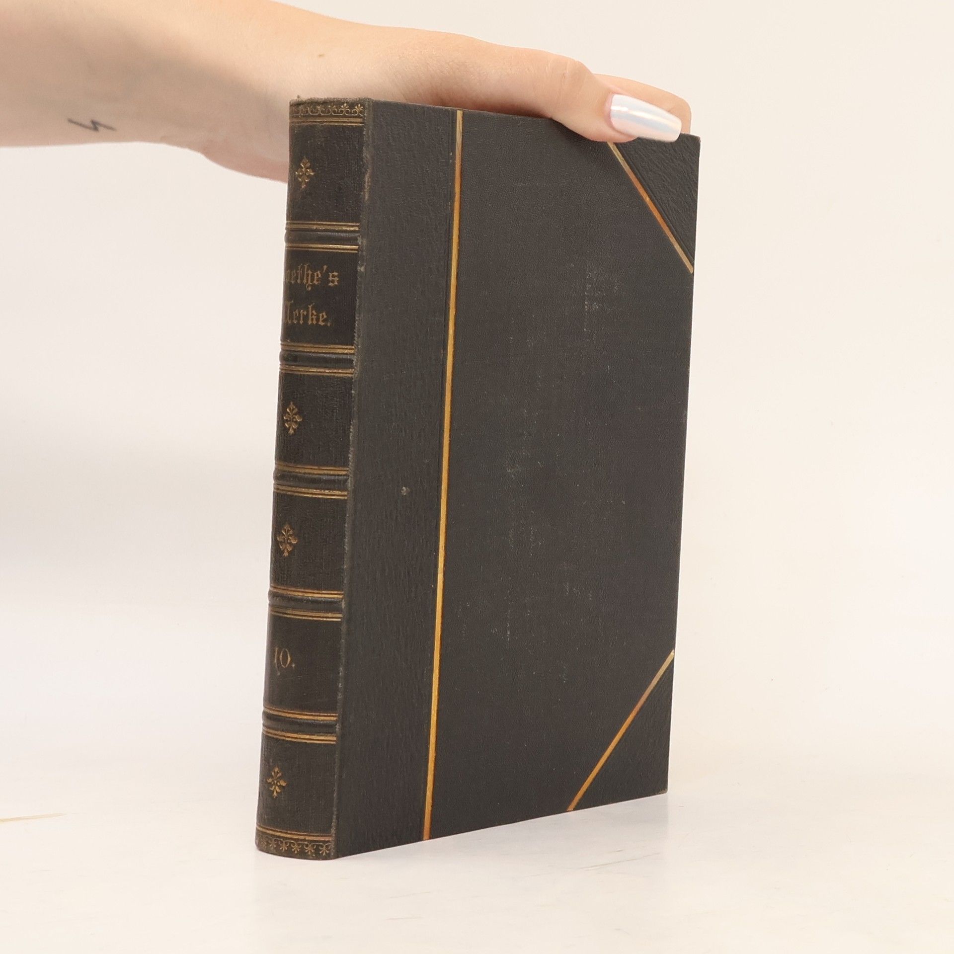 Heinrich Kurz Goethes Werke 10.