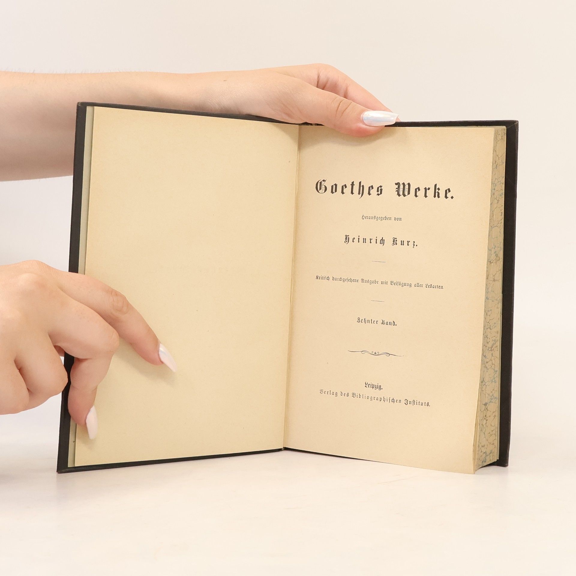 Heinrich Kurz Goethes Werke 10.