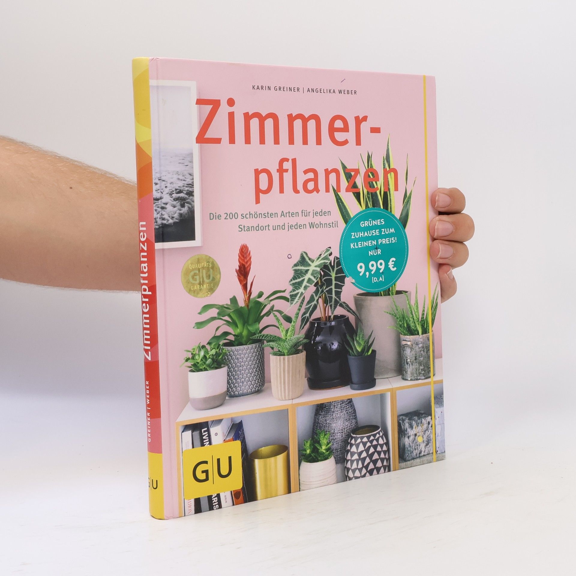 Karin Greiner Zimmerpflanzen