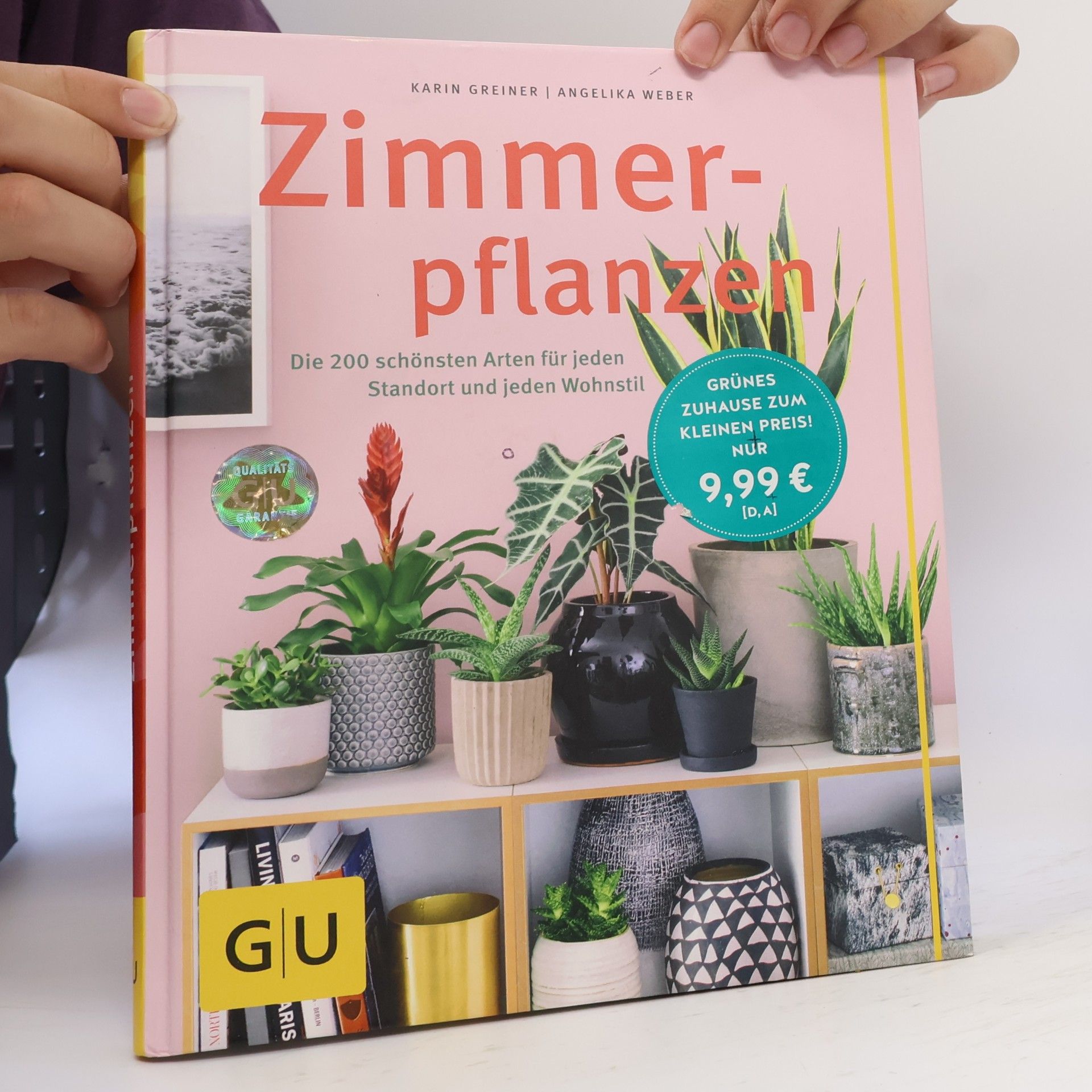 Karin Greiner Zimmerpflanzen