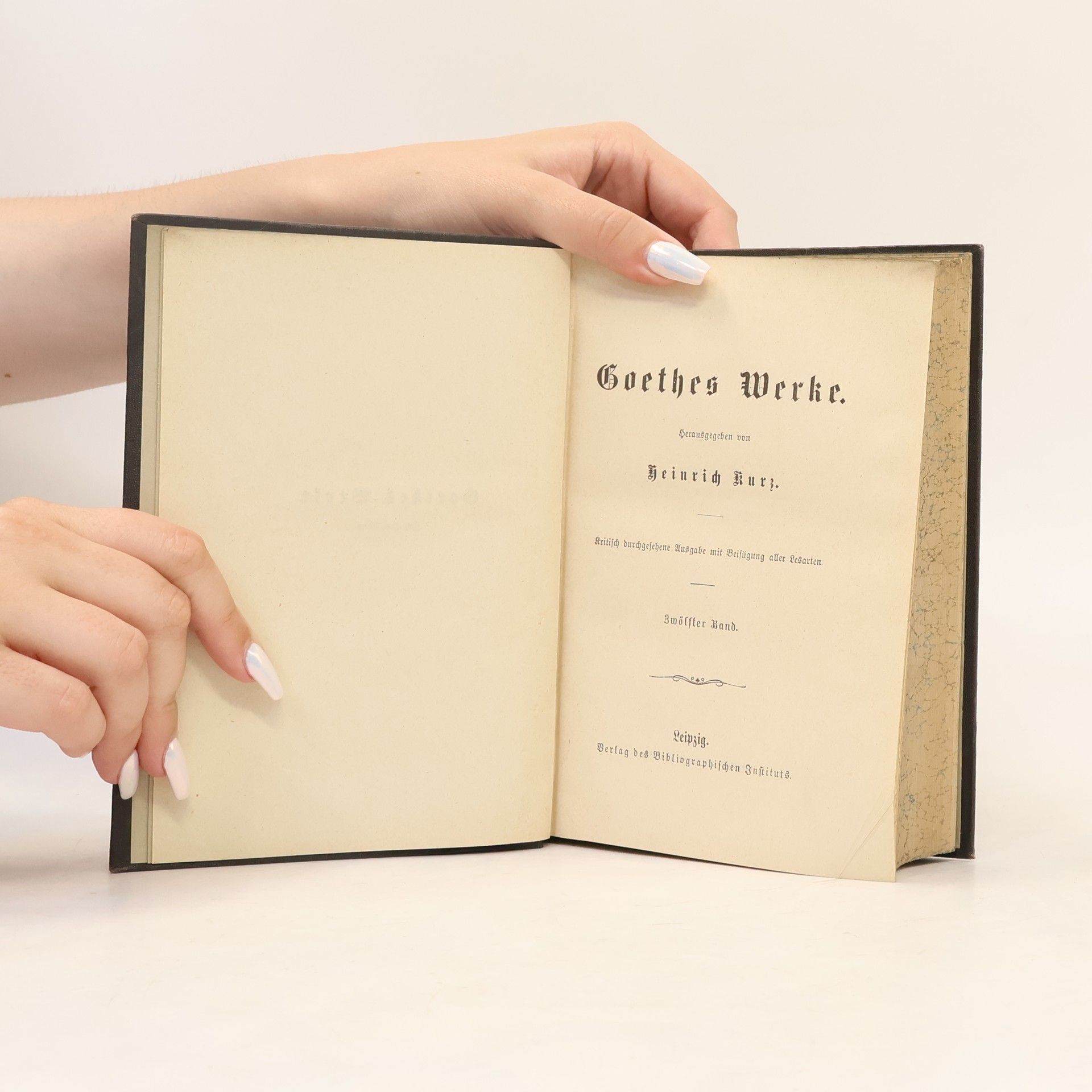 Heinrich Kurz Goethes Werke 12.
