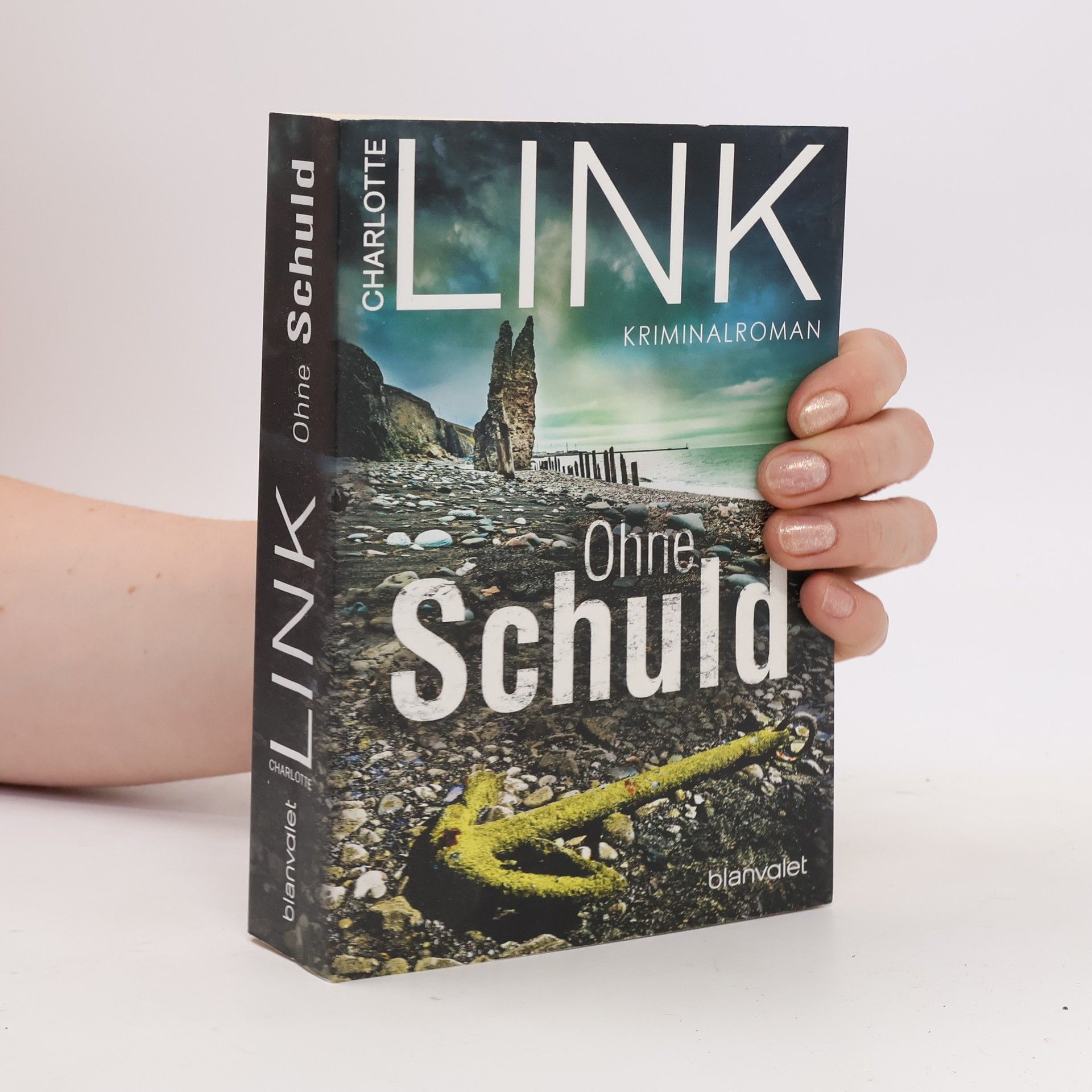 Charlotte Link Ohne Schuld