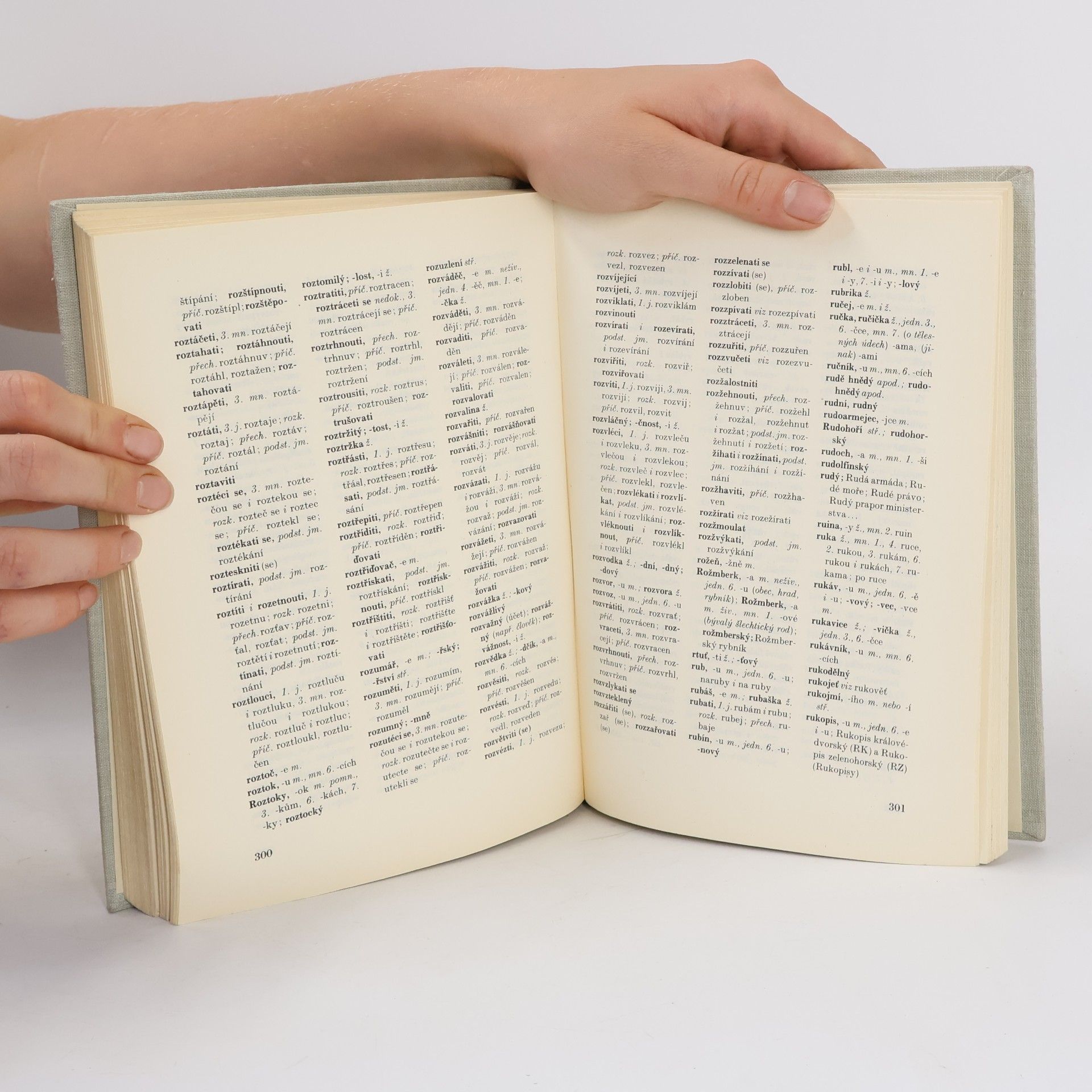 Autores varios Pravidla českého pravopisu