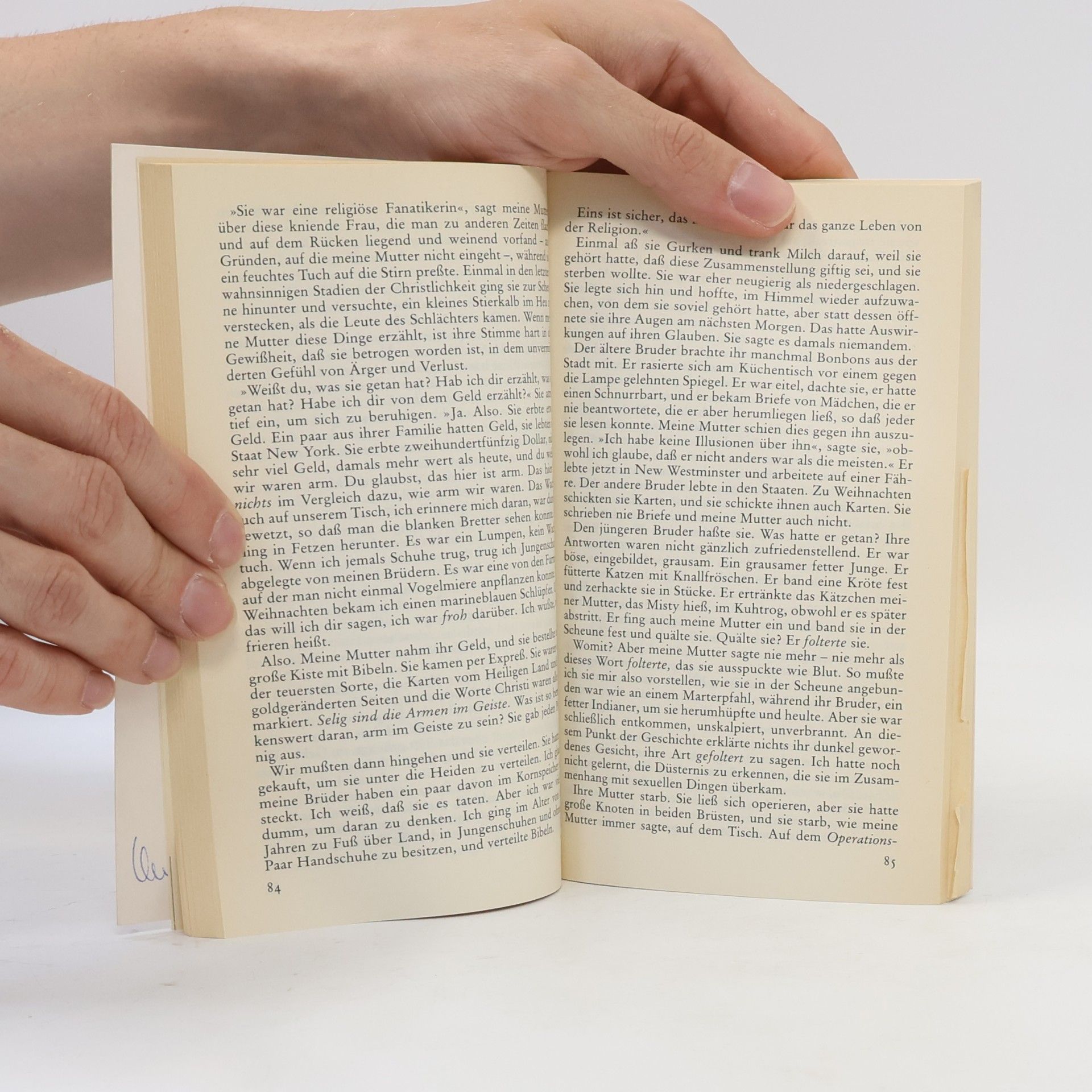 Alice Munro Kleine Aussichten