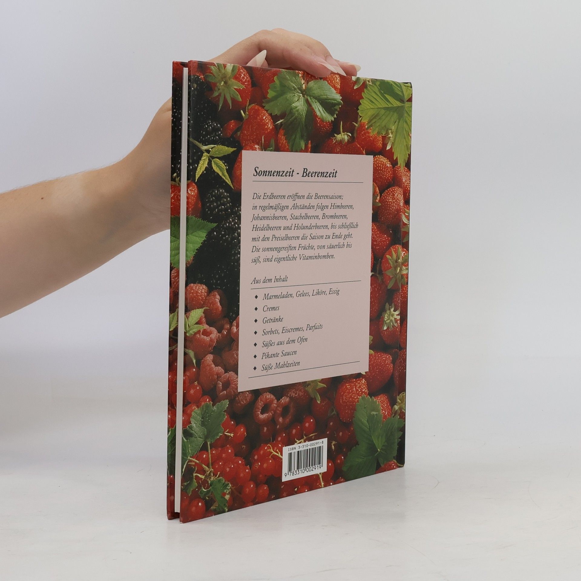 Beatrice Aepli Die Beeren-Küche