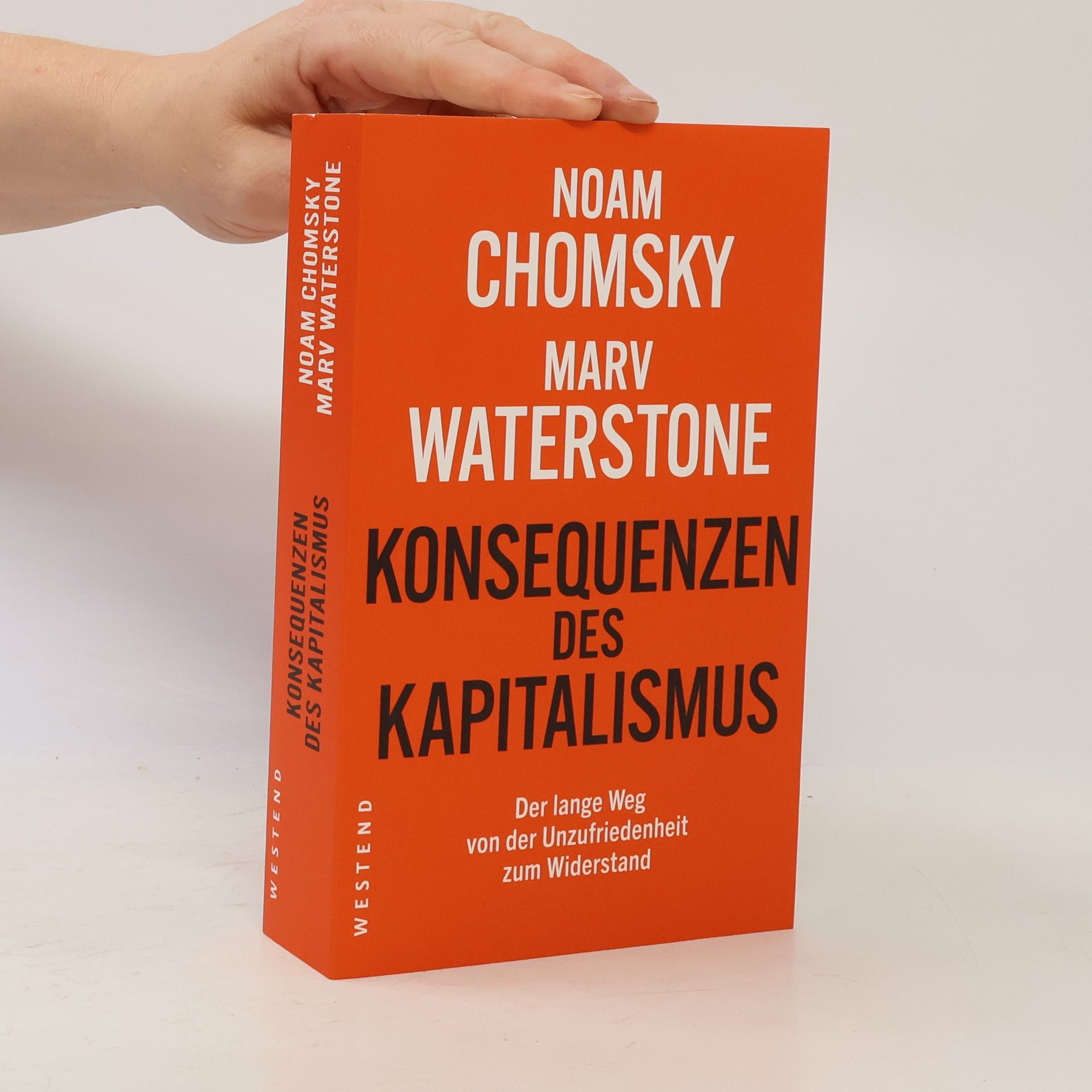 Noam Chomsky Konsequenzen des Kapitalismus