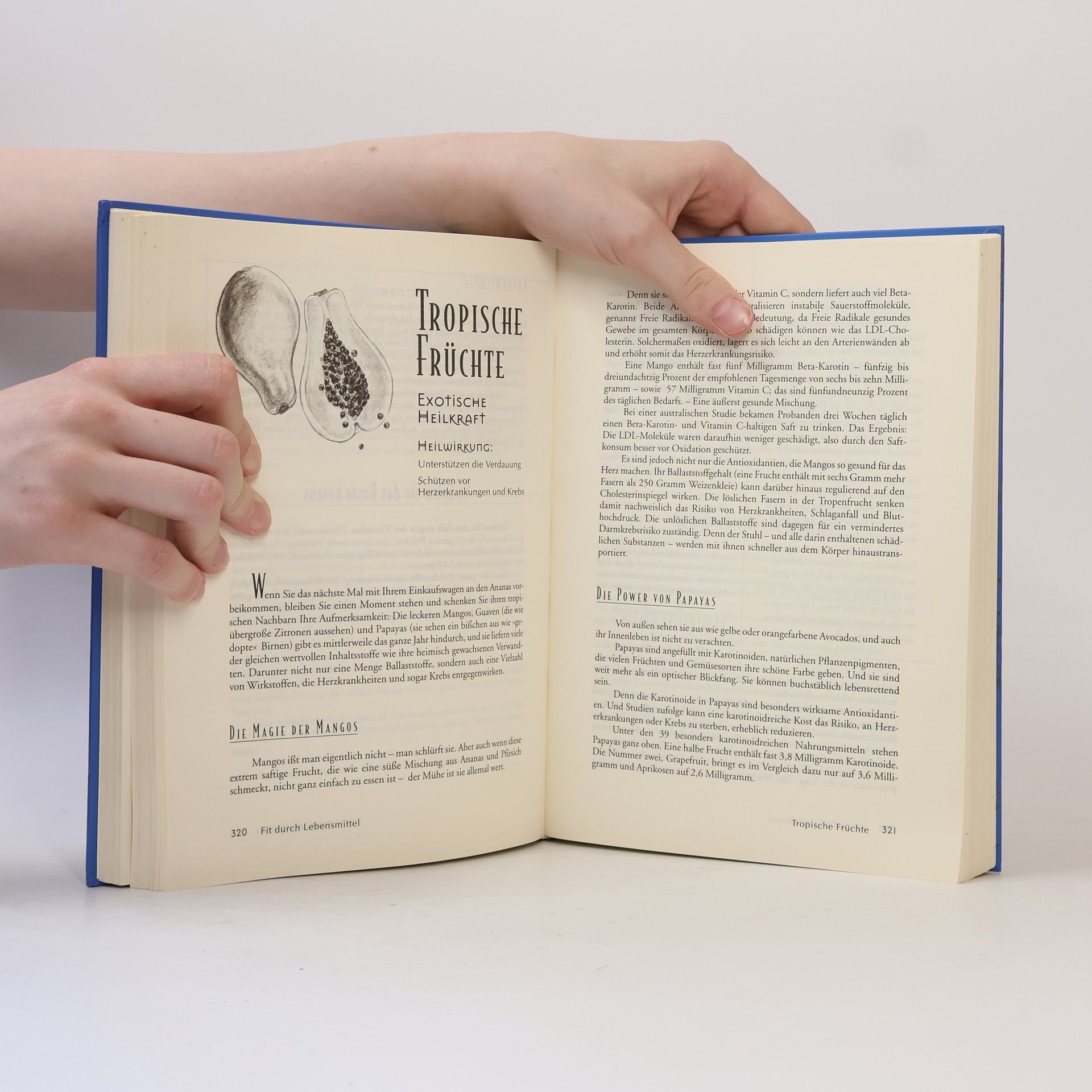 Selene Yeager Das Ärztebuch der Heilkraft unserer Lebensmittel