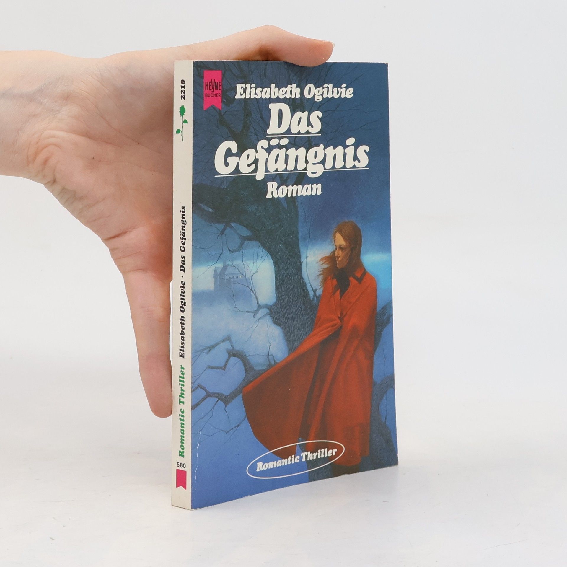 Das Gefängnis