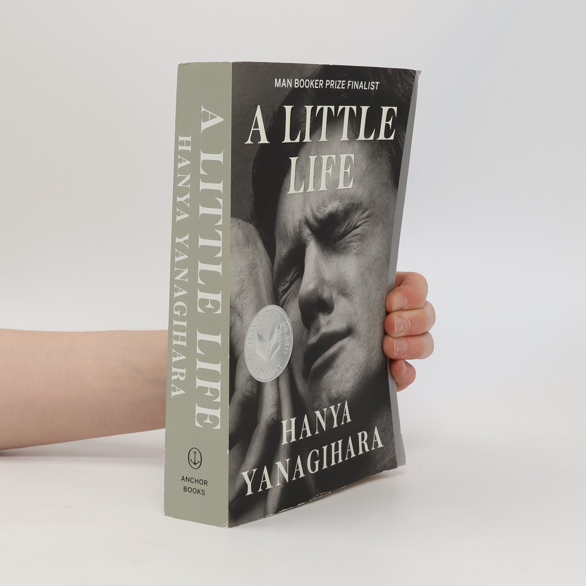Hanya Yanagihara A Little Life