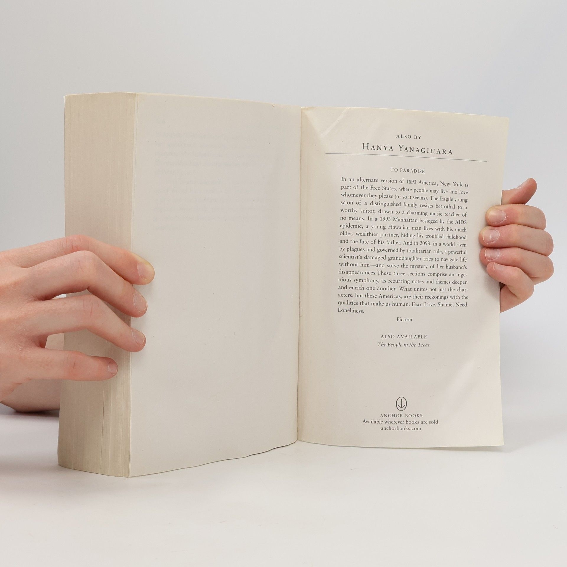 Hanya Yanagihara A Little Life