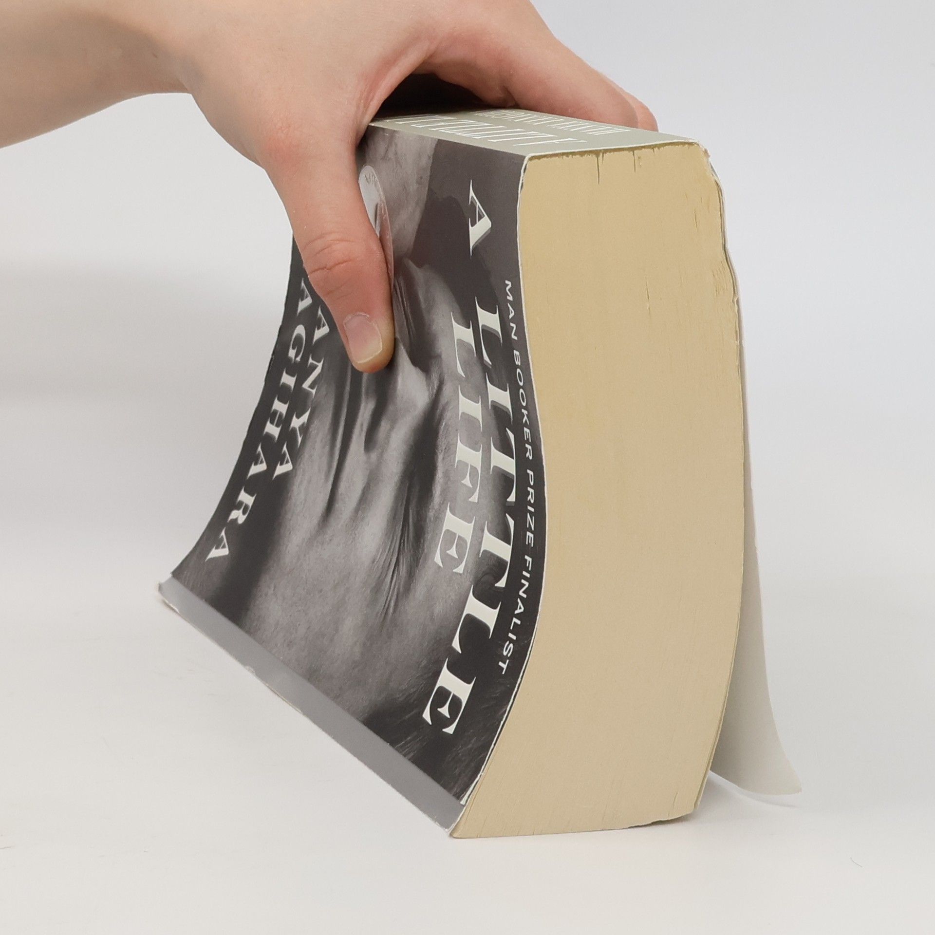 Hanya Yanagihara A Little Life