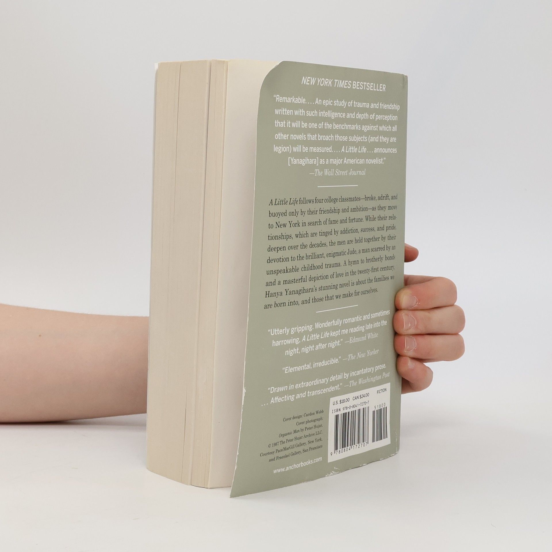 Hanya Yanagihara A Little Life