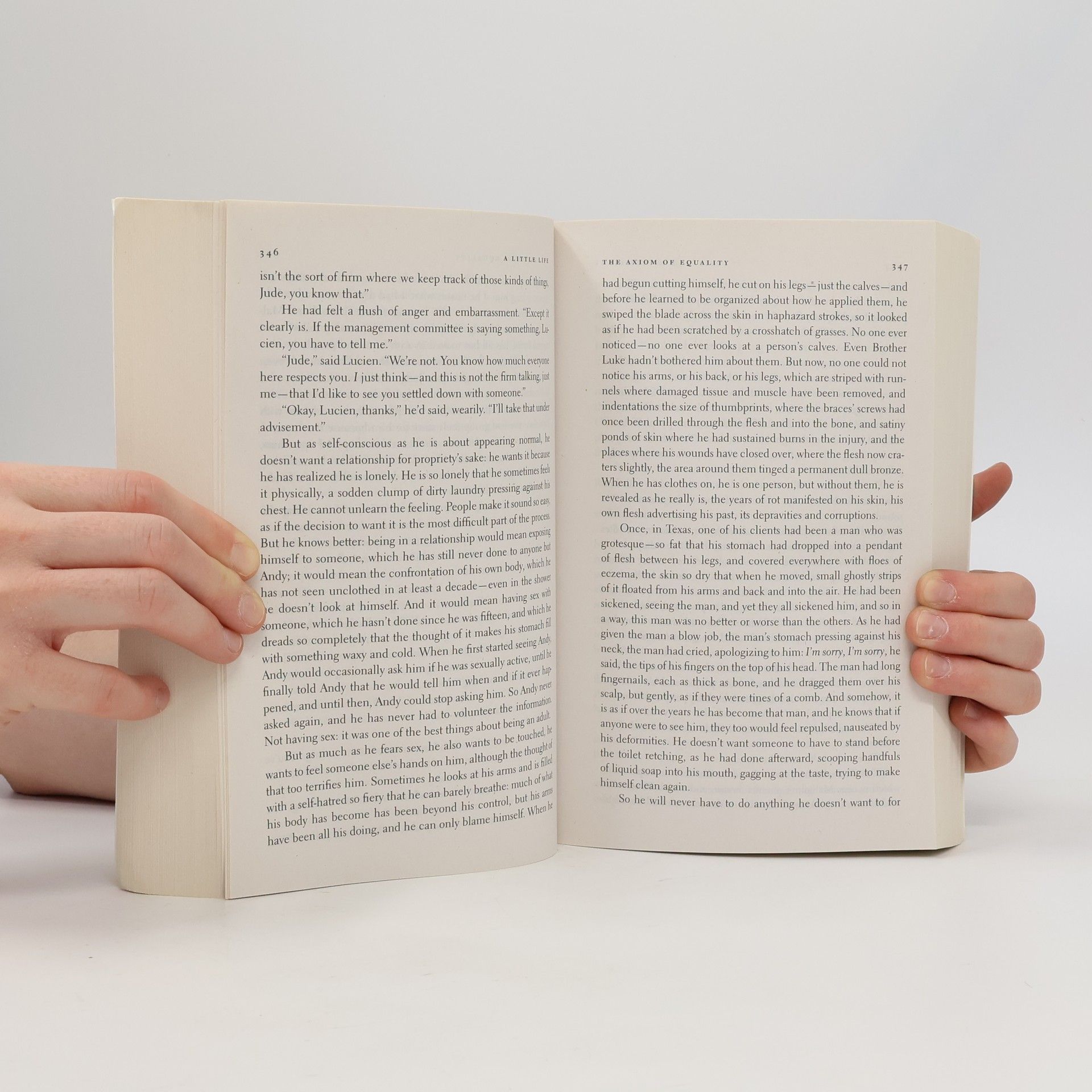 Hanya Yanagihara A Little Life