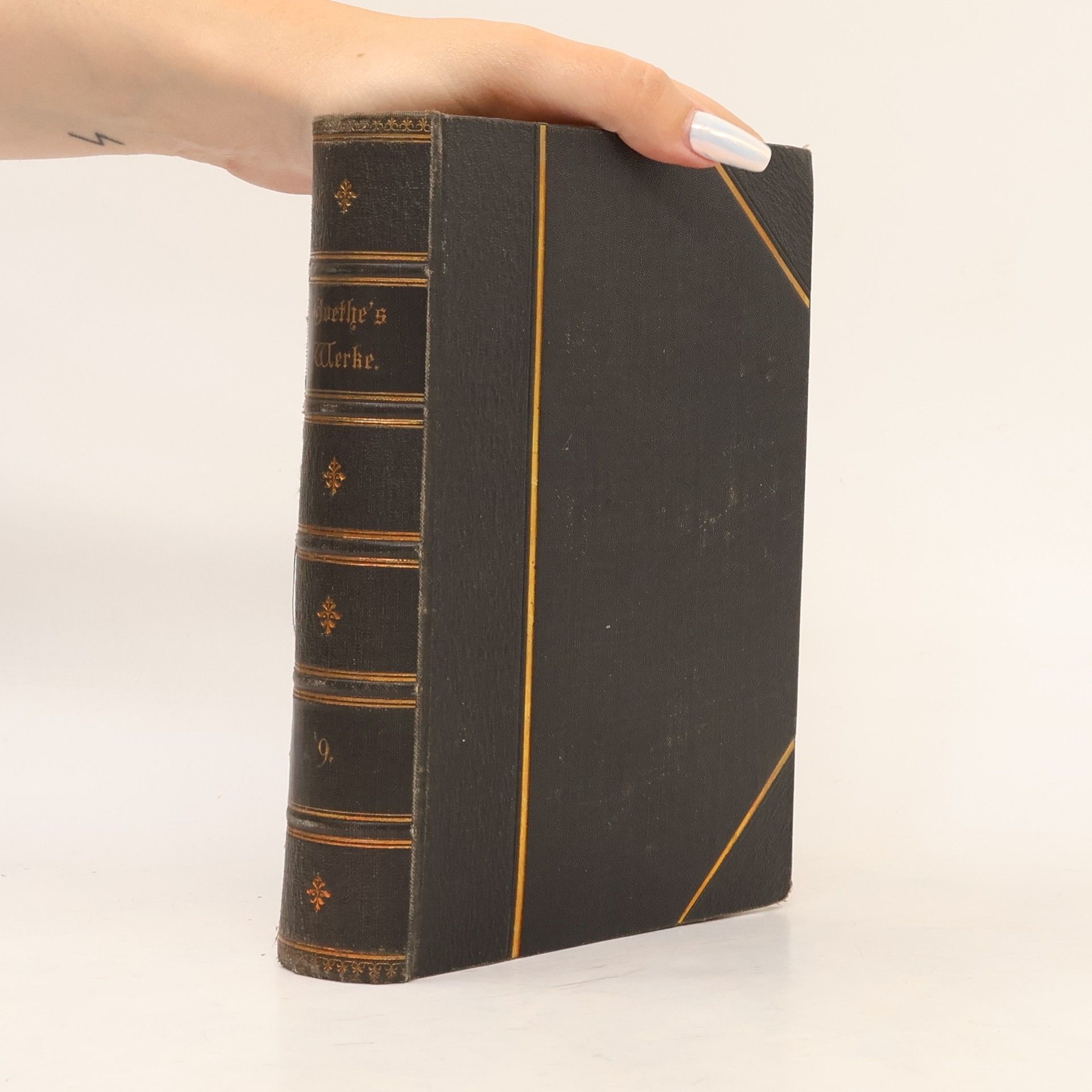 Heinrich Kurz Goethes Werke 9