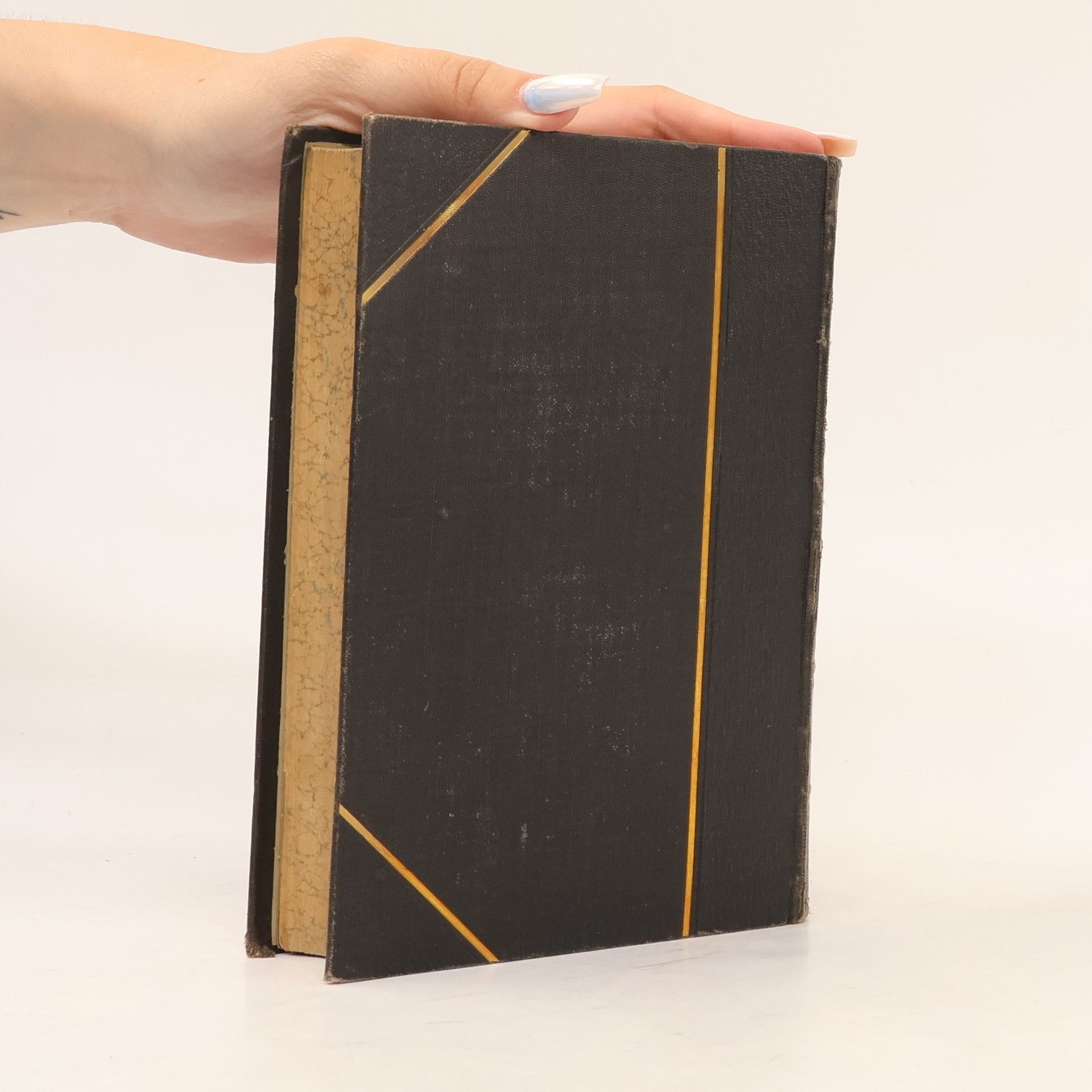 Heinrich Kurz Goethes Werke 9