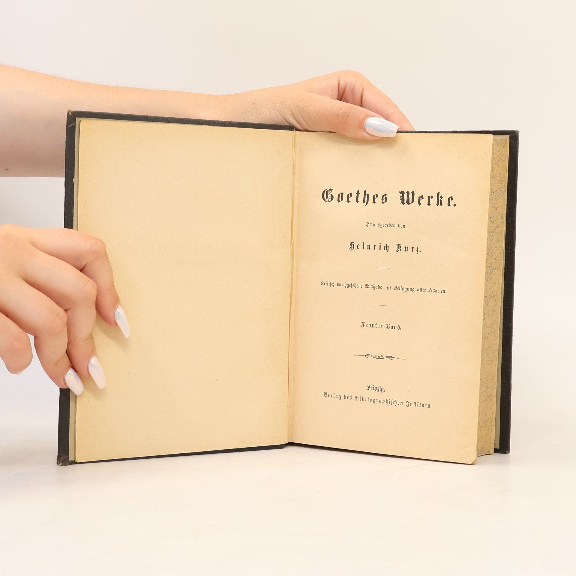 Heinrich Kurz Goethes Werke 9