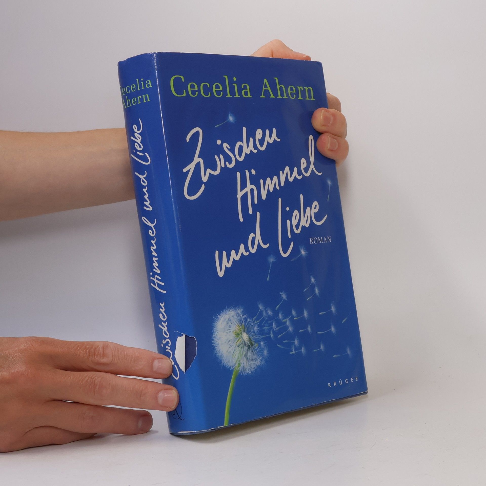 Cecelia Ahern Zwischen Himmel und Liebe