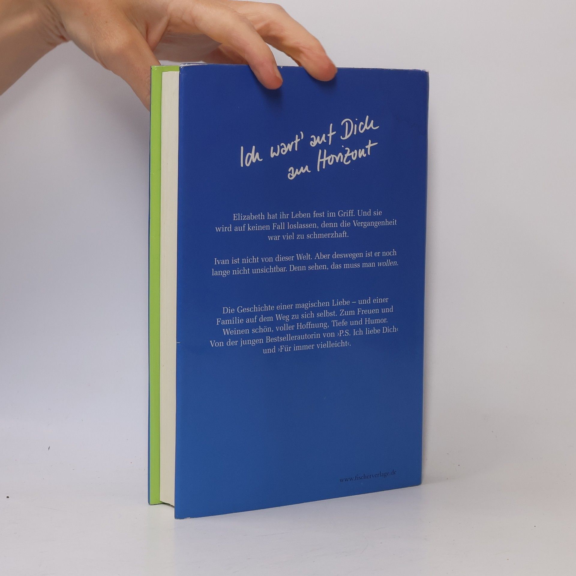 Cecelia Ahern Zwischen Himmel und Liebe