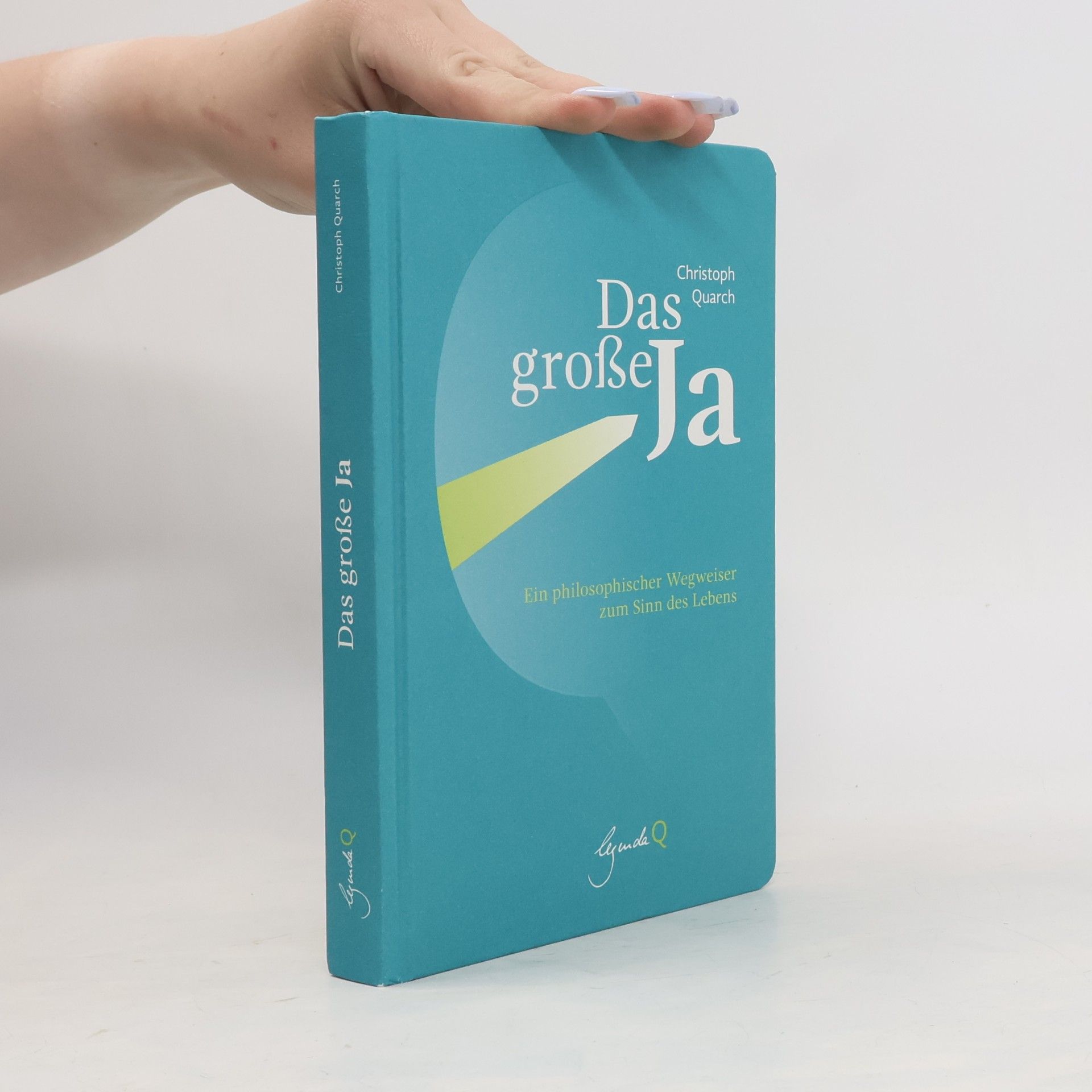 Christoph Quarch Das große Ja