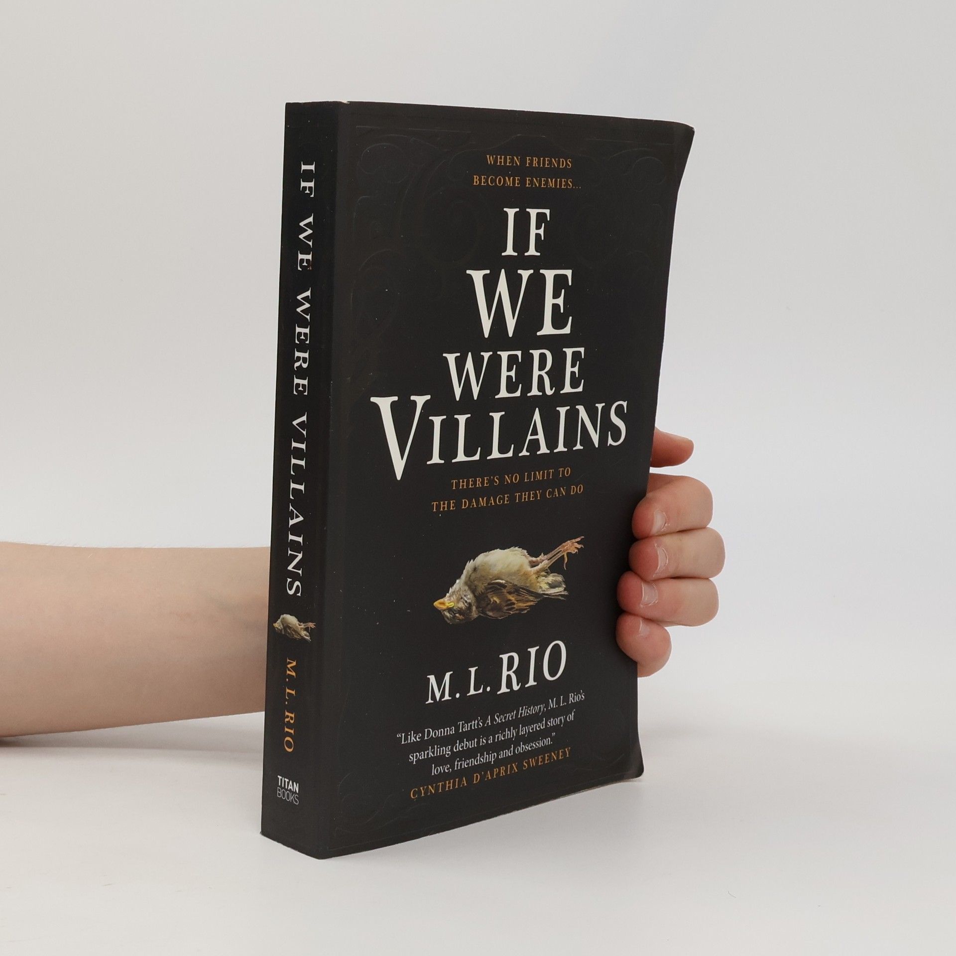 M. L. Rio If We Were Villains