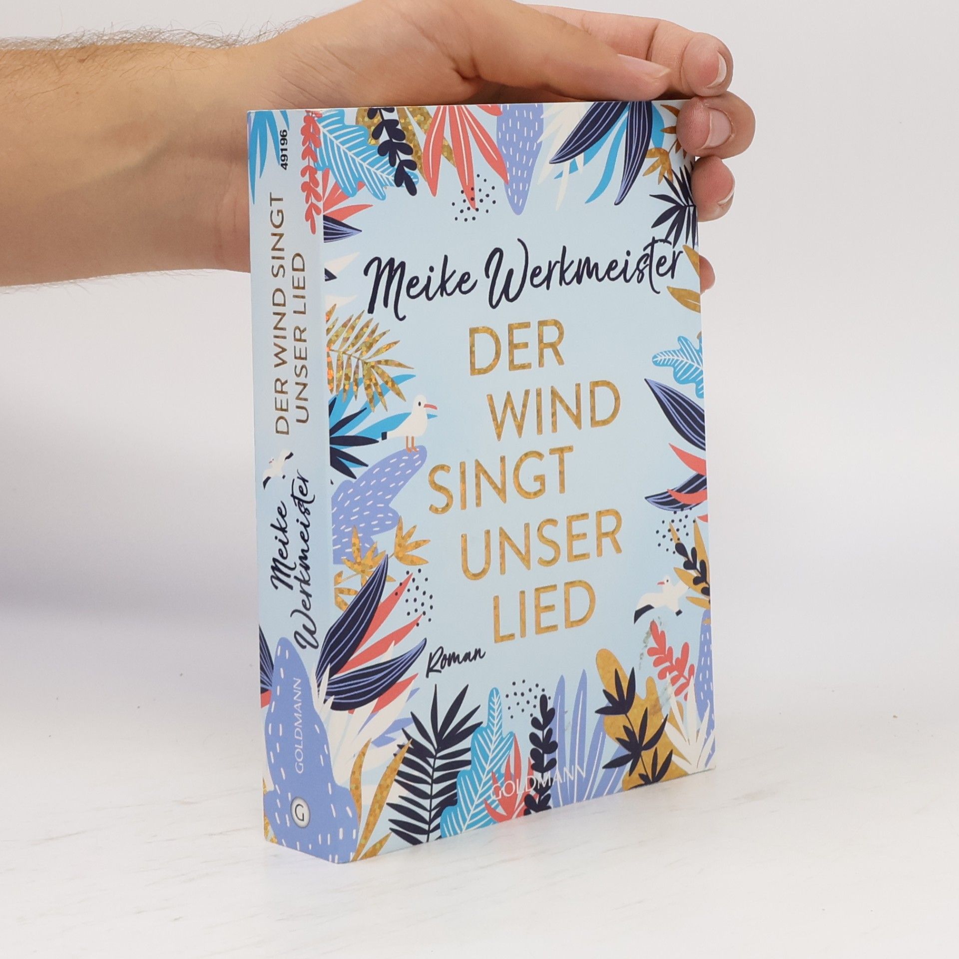 Meike Werkmeister Der Wind singt unser Lied