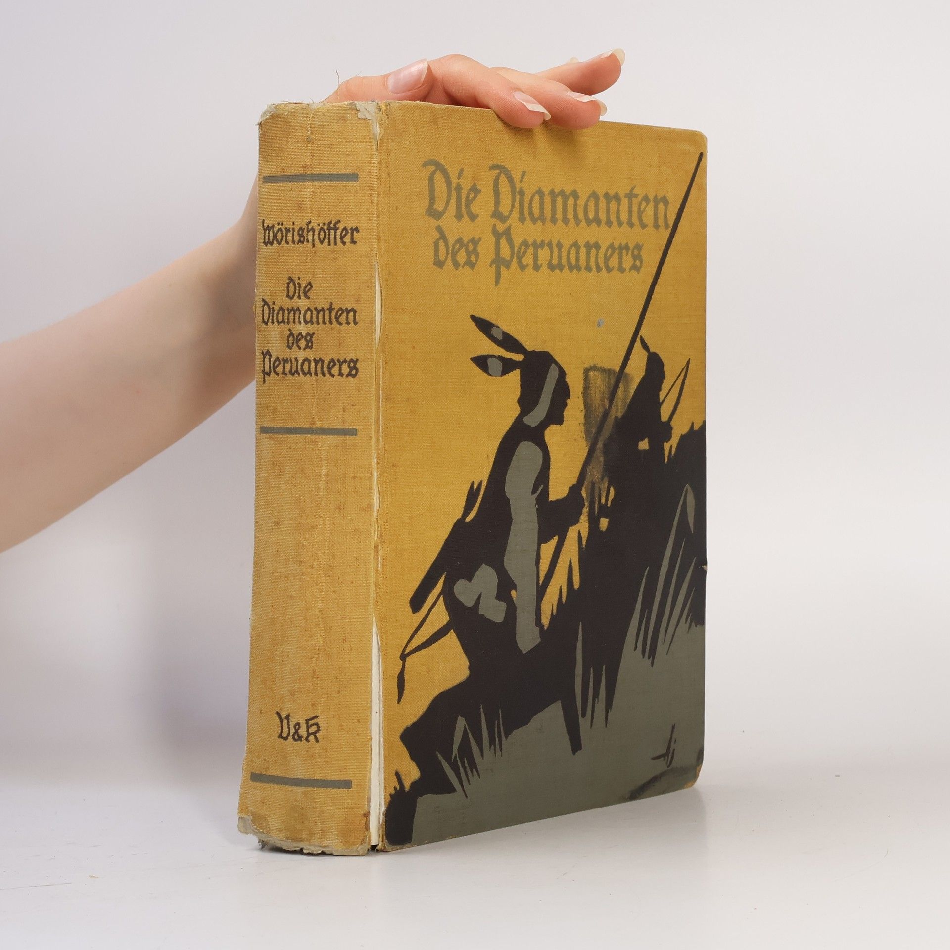 Sophie Wörishöffer Die Diamanten des Peruaners