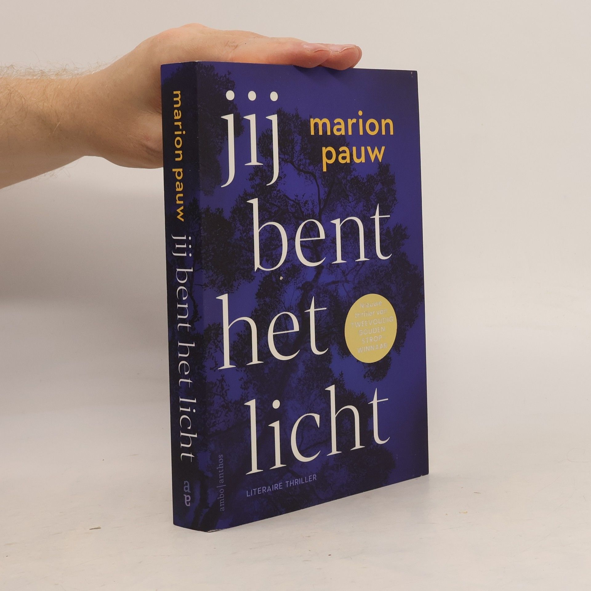 Marion Pauw Jij bent het licht