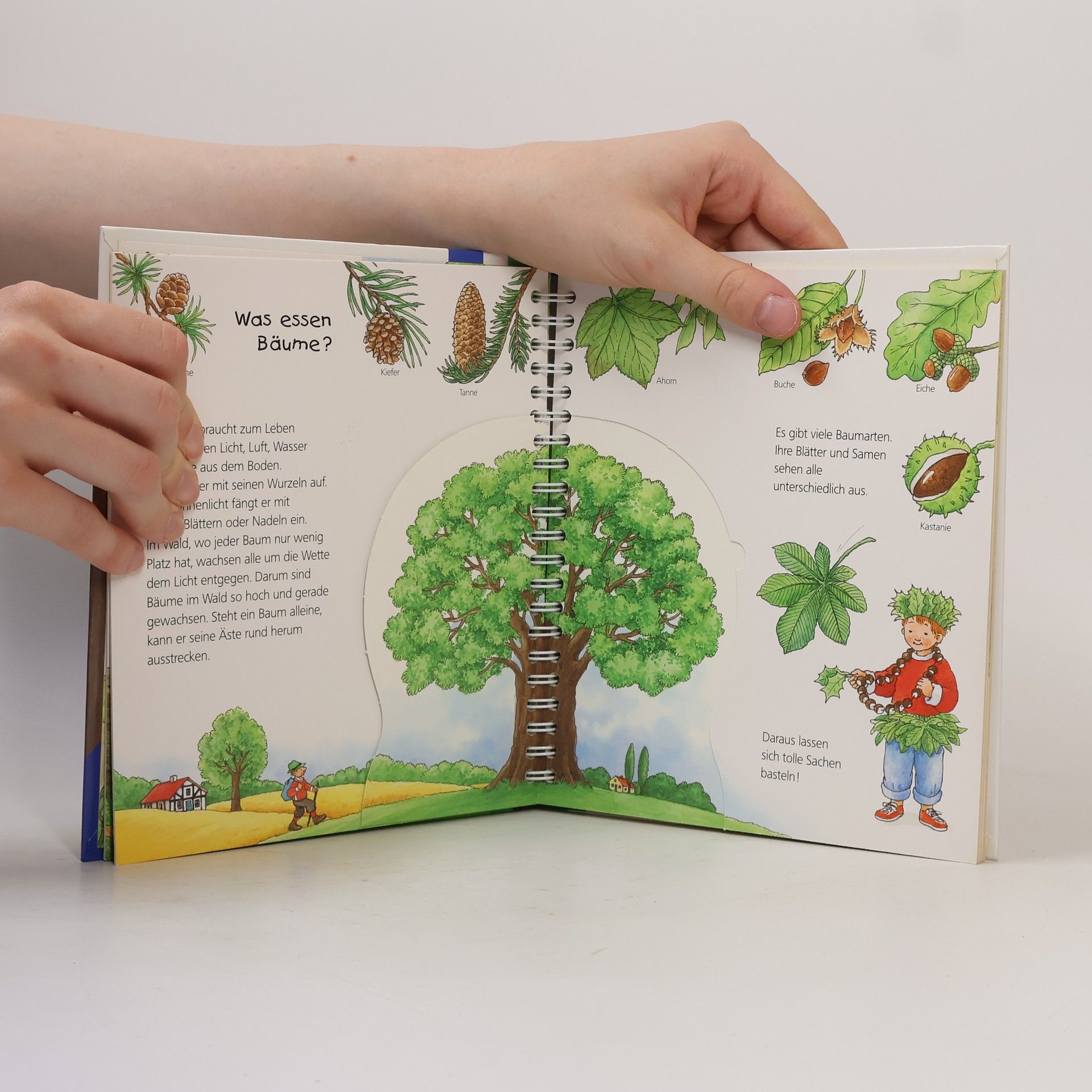 Various authors Der Wald