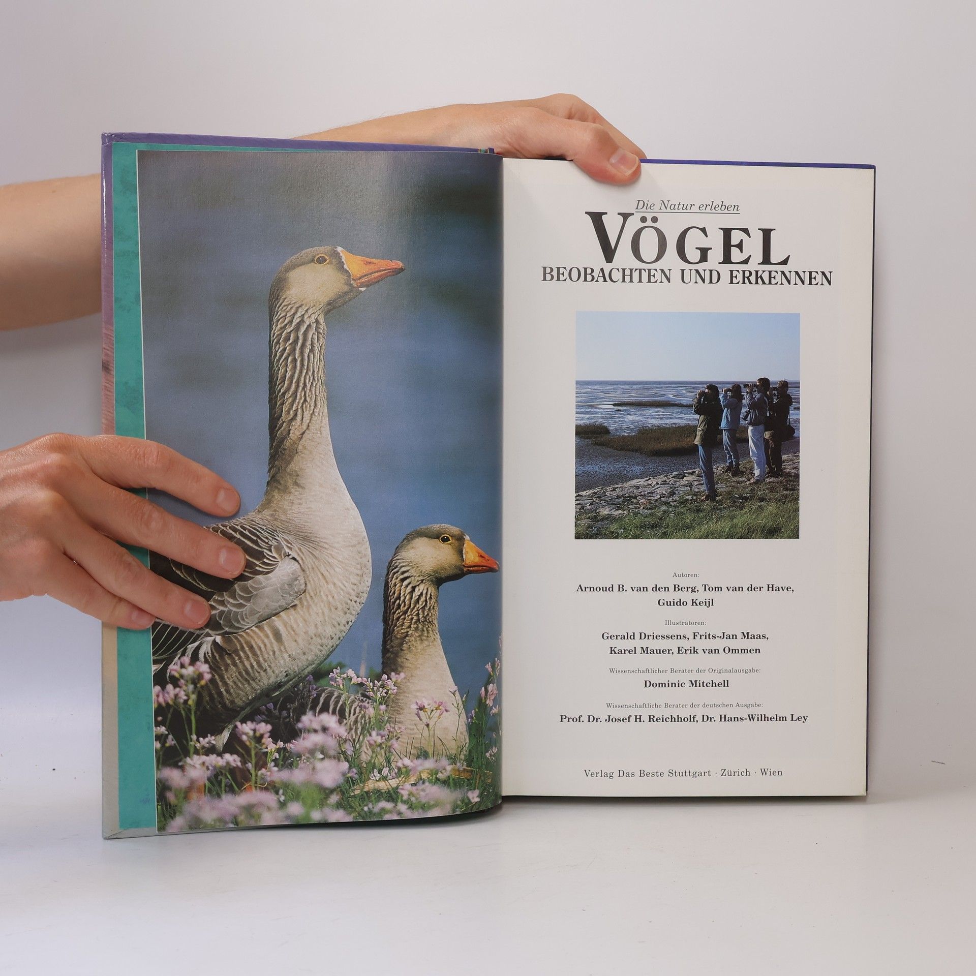 Collectif d'auteurs Vögel beobachten und erkennen