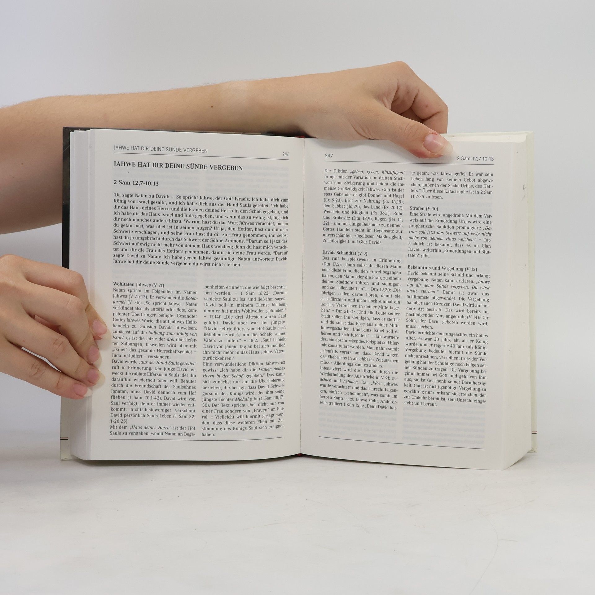 Autorenkollektiv Die Heiligenkreuz-Bibel