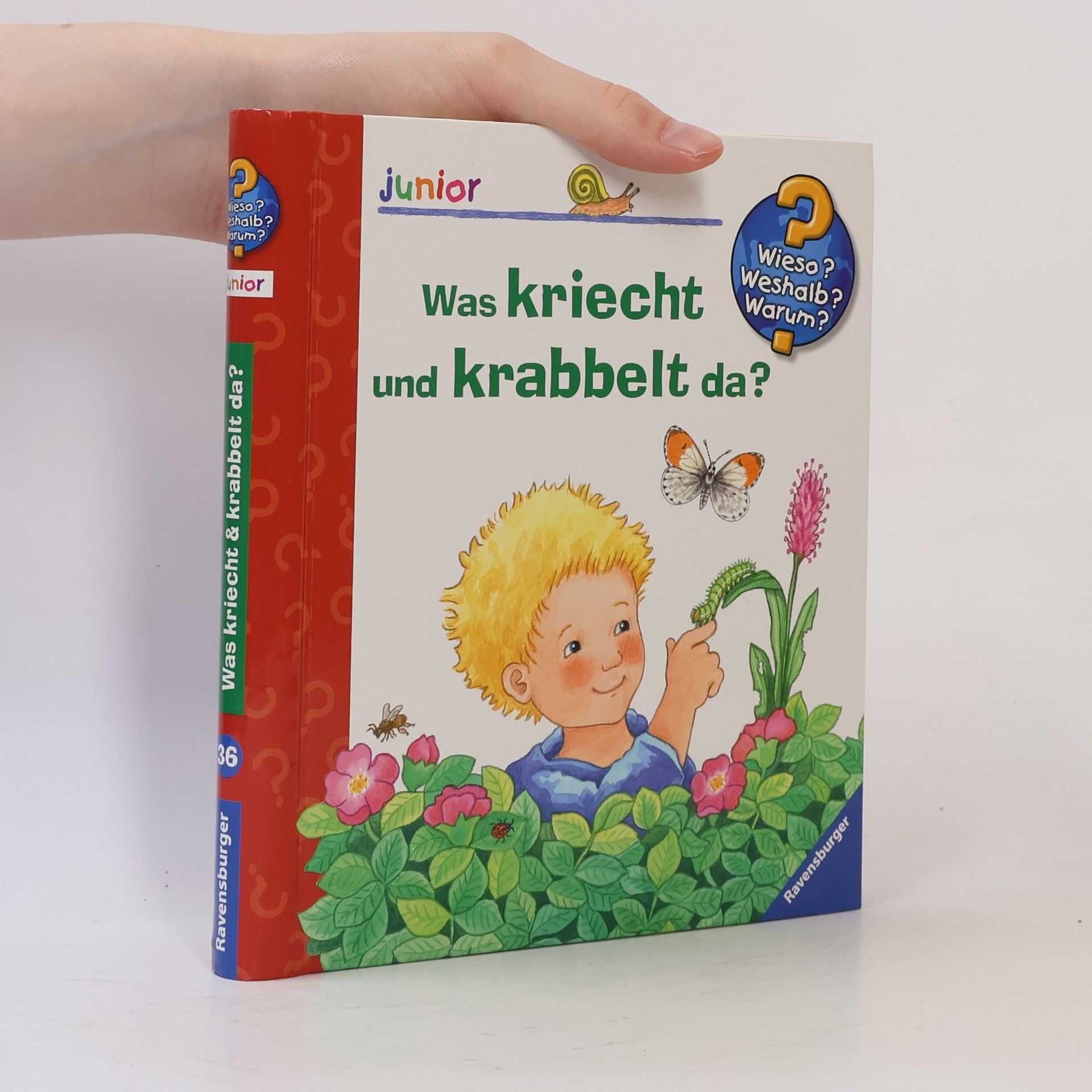 Irmgard Eberhard Was kriecht und krabbelt da?